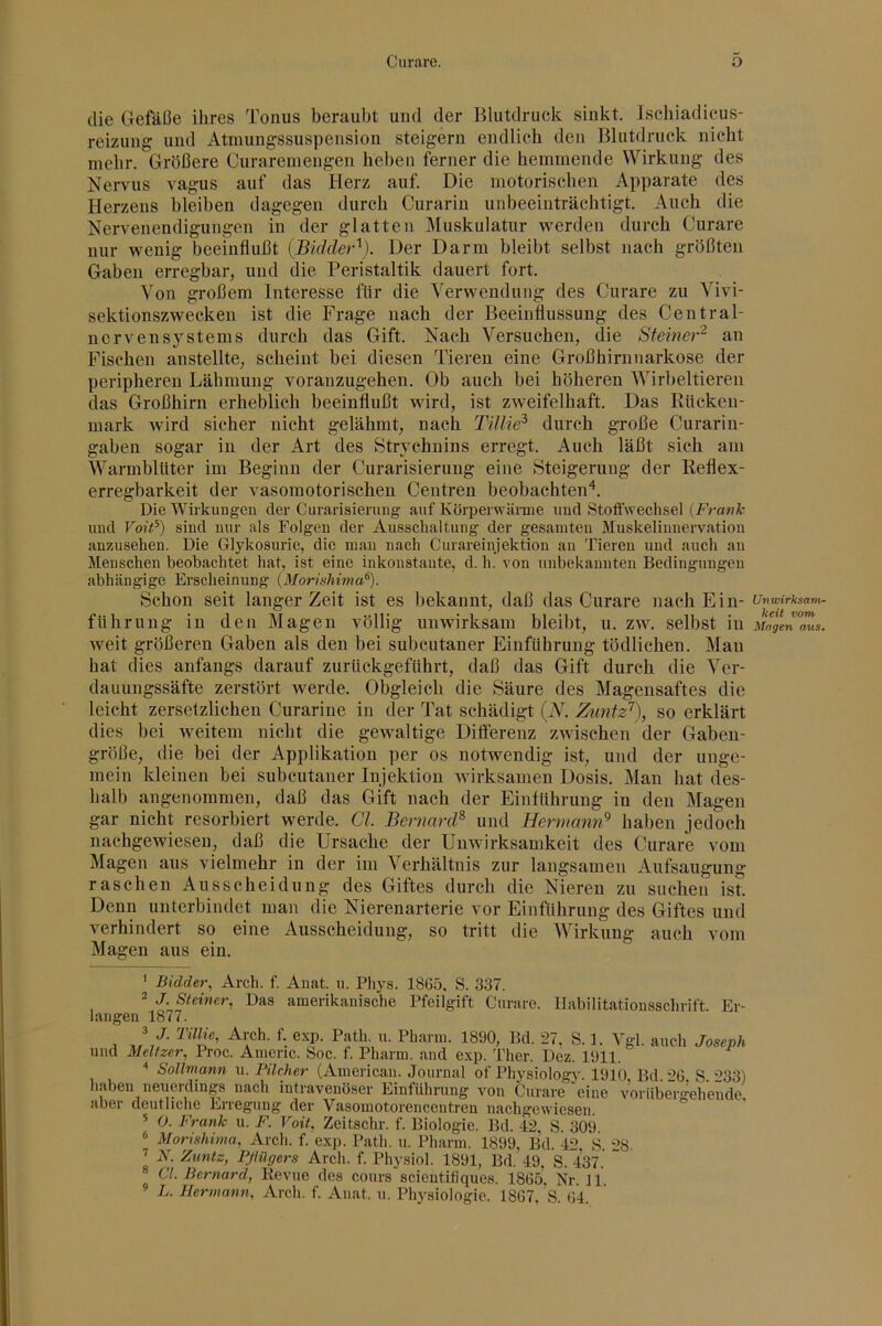 die Gefäße ihres Tonus beraubt und der Blutdruck sinkt. Ischiadicus- reizung und Atmungssuspension steigern endlich den Blutdruck nicht mehr. Größere Curaremengen heben ferner die hemmende Wirkung des Nervus vagus auf das Herz auf. Die motorischen Apparate des Herzens bleiben dagegen durch Curarin unbeeinträchtigt. Auch die Nervenendigungen in der glatten Muskulatur werden durch Curare nur wenig beeinflußt {Bidder^). Der Darm bleibt selbst nach größten Gaben erregbar, und die Peristaltik dauert fort. Von großem Interesse für die Verwendung des Curare zu Vivi- sektionszwecken ist die Frage nach der Beeinflussung des Central- ncrvensystems durch das Gift. Nach Versuchen, die Steiner'^ an Fischen austellte, scheint bei diesen Tieren eine Großhirnnarkose der peripheren Lähmung voranzugehen. Ob auch bei höheren Wirbeltieren das Großhirn erheblich beeinflußt wird, ist zweifelhaft. Das Klicken- mark wird sicher nicht gelähmt, nach TUlie^ durch große Curarin- gaben sogar in der Art des Strychnins erregt. Auch läßt sich am Warmblüter im Beginn der Curarisierung eine Steigerung der Reflex- erregbarkeit der vasomotorischen Centren beobachten'*. Die Wirkungen der Curarisierung auf Körperwärme und Stoifwechsel [Frank nnd VoiF) sind nnr als Folgen der Ausschaltung der gesamten Muskelinnervation anzusehen. Die Glykosurie, die man nach Curareinjektion an Tieren und auch au Menschen beobachtet hat, ist eine inkonstante, d. h. von unbekannten Bedingungen abhängige Erscheinung (Morishima^). Schon seit langer Zeit ist es bekannt, daß das Curare nach Ein- führung in den Magen völlig unwirksam bleibt, u. zw. selbst in weit größeren Gaben als den bei subcutaner Einführung tödlichen. Man hat dies anfangs darauf zurückgeführt, daß das Gift durch die Ver- dauungssäfte zerstört werde. Obgleich die Säure des Magensaftes die leicht zersetzlichen Curarine in der Tat schädigt (W. Zuntz^), so erklärt dies bei weitem nicht die gewaltige Differenz zwischen der Gaben- größe, die bei der Applikation per os notwendig ist, und der unge- mein kleinen bei subcutaner Injektion wirksamen Dosis. Man hat des- halb angenommen, daß das Gift nach der Einlührung in den Magen gar nicht resorbiert werde. CI Beniard^ und Hermann^ haben jedoch nachgewiesen, daß die Ursache der Unwirksamkeit des Curare vom Magen aus vielmehr in der im Verhältnis zur langsamen Aufsaugung raschen Ausscheidung des Giftes durch die Nieren zu suchen ist. Denn unterbindet man die Nierenarterie vor Einführung des Giftes und verhindert so eine Ausscheidung, so tritt die Wirkung auch vom Magen aus ein. ' Bidder, Arch. f. Anat. ii. Phys. 1865, S. 337. 2 j Steiner, Das amerikanische Pfeilgift Curare. Habilitationsschrift. Er- langen 1877. 2 J. Arch. f. e.xp. Path. u. Pharm. 1890, Bd. 27. S. 1. Vgl. auch Josep. und Meitzer, Proc. Americ. Soc. f. Pharm, and exp. Ther. Dez. 1911. '' Sollmann ii. Bücher (American. Journal of Physiology. 1910 Bd. 26, S. haben neuerdings nach intravenöser Einführung von Curare eine vorüber<^eh'end( aber deutliche Erregung der Vasomotorencentren nachgewiesen 5 0. Frank u. F. Voit, Zeitschr. f. Biologie. Bd. 42, S. 309 ® Morishima, Arch. f. exp. Path. u. Pharm. 1899, Bd. 42, S. 28. ’ ^untz, P/lügers Arch. f. Physlol. 1891, Bd. 49, S. 437. CI. Bernard, Kevue des cours scientifiques. 1865. Nr. Jl. ® L. Hermann, Arch. f. Anat. u. Physiologie. 1867. S. 64. Unwirksavi- keit vom Magen aus.