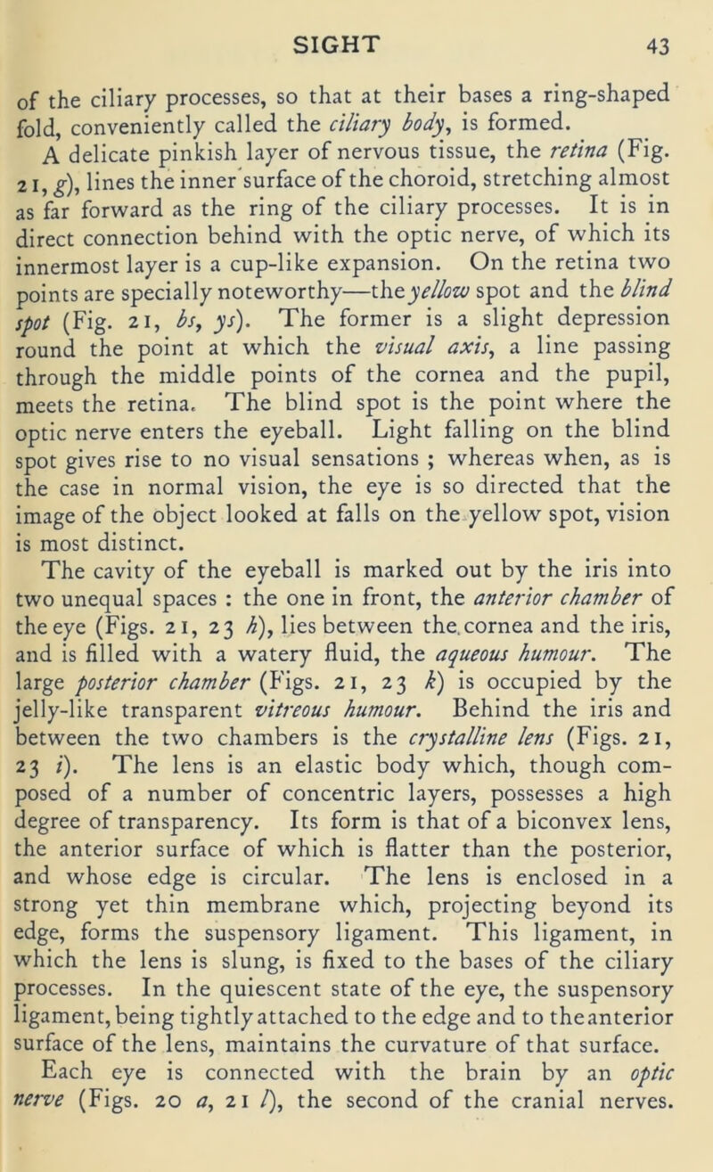 of the ciliary processes, so that at their bases a ring-shaped fold, conveniently called the aVw/y bod-^^ is formed. A delicate pinkish layer of nervous tissue, the reüna (Fig. 21, ^), lines the inner'surface of the choroid, Stretching almost as far forward as the ring of the ciliary processes. It is in direct connection behind with the optic nerve, of which its innermost layer is a cup-like expansion, On the retina two points are specially noteworthy—t\\e.yellow spot and the blind spot (Fig. 2 1, bs, ys'). The former is a slight depression round the point at which the visual axis, a line passing through the middle points of the cornea and the pupil, meets the retina. The blind spot is the point where the optic nerve enters the eyeball. Light falling on the blind spot gives rise to no visual sensations ; whereas when, as is the case in normal vision, the eye is so directed that the image of the object looked at falls on the yellow spot, vision is most distinct. The cavity of the eyeball is marked out by the iris into two unequal spaces : the one in front, the anterior chamber of the eye (Figs. 21, 23 h), lies between the. cornea and the iris, and is filled with a watery fluid, the aqueous humour. The large posterior chamber {Yigs. 21, 23 k) is occupied by the jelly-like transparent vitreous humour. Behind the iris and between the two chambers is the crystalline lens (Figs. 21, 23 /). The lens is an elastic body which, though com- posed of a number of concentric layers, possesses a high degree of transparency. Its form is that of a biconvex lens, the anterior surface of which is flatter than the posterior, and whose edge is circular. The lens is enclosed in a strong yet thin membrane which, projecting beyond its edge, forms the suspensory ligament. This ligament, in which the lens is slung, is fixed to the bases of the ciliary processes. In the quiescent state of the eye, the suspensory ligament, being tightly attached to the edge and to theanterior surface of the lens, maintains the curvature of that surface. Fach eye is connected with the brain by an optic nerve (Figs. 20 0, 21 /), the second of the cranial nerves.