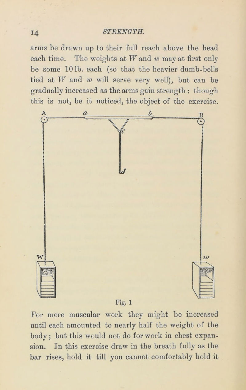 arms be drawn np to their full reach above the head each time. The weights at W and w may at first only be some 101b. each (so that the heavier dumb-bells tied at W and w will serve very well), but can be gradually increased as the arms gain strength : though this is not, be it noticed, the object of the exercise. For mere muscular work they might be increased until each amounted to nearly half the weight of the body; but this would not do for work in chest expan- sion. In this exercise draw in the breath fully as the bar rises, hold it till you cannot comfortably hold it