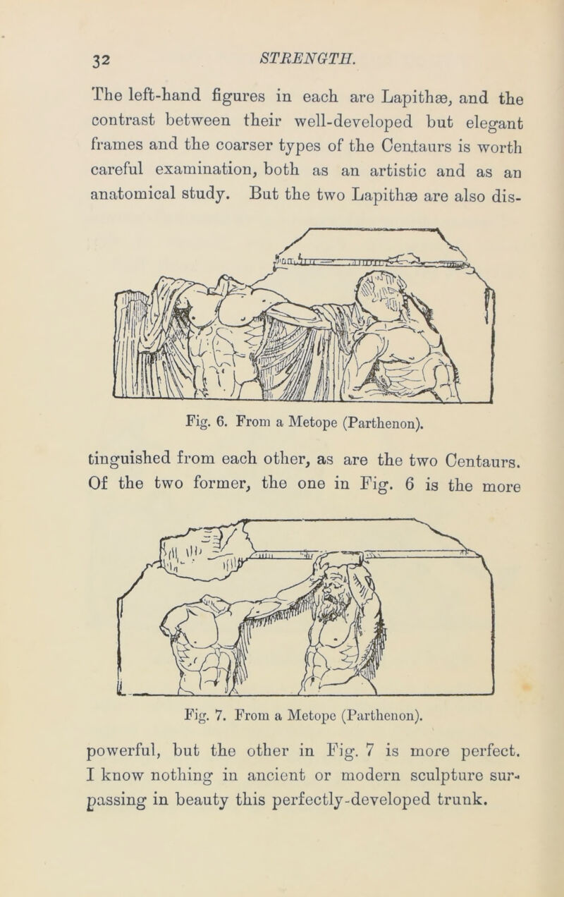 The left-hand figures in each are Lapithas, and the contrast between their well-developed but elegant frames and the coarser types of the Centaurs is worth careful examination, both as an artistic and as an anatomical study. But the two Lapithse are also dis- Fig. 6. From a Metope (Parthenon). tinguished from each other, as are the two Centaurs. Of the two former, the one in Fig. 6 is the more Fig. 7. From a Metope (Parthenon). powerful, but the other in Fig. 7 is more perfect. I know nothing in ancient or modern sculpture sur- passing in beauty this perfectly-developed trunk.