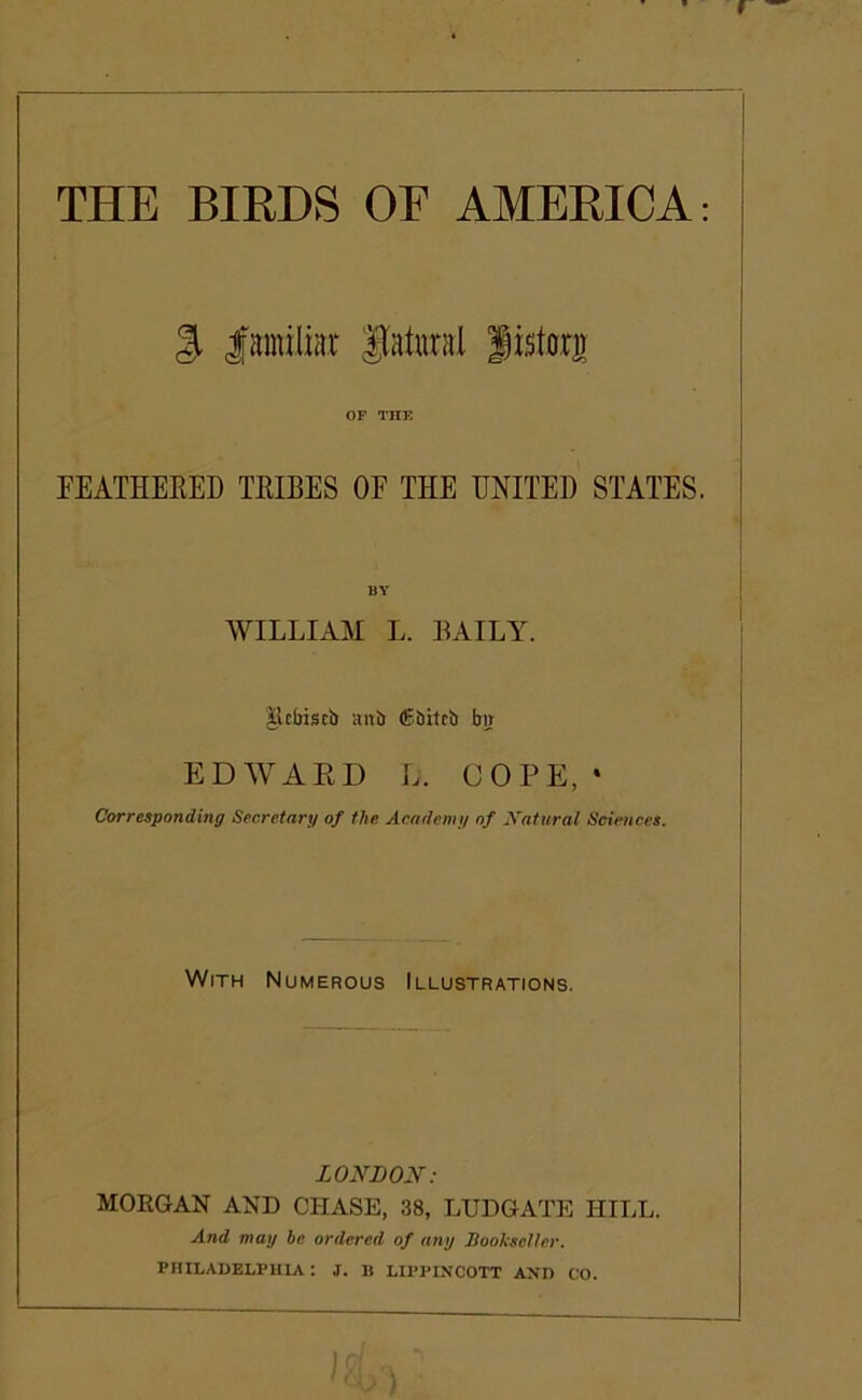 THE BIRDS OF AMERICA: I |i lainiliar |(atural iisto OF THE FEATHERED TRIBES OF THE UNITED STATES. BY WILLIAM L. DAILY. Ilcliiscb airb (Ebitcb bu EDWAED L. COPE, • Corresponding Secretary of the Academy of Xatural Sciences. With Numerous Illustrations. ZOyDOiN-.- MORGAN AND CHASE, 38, LUDGATE HILL. And may be ordered of any BookscUer. PHILADELPHIA : J. I) LII’PINCOTT AND CO.