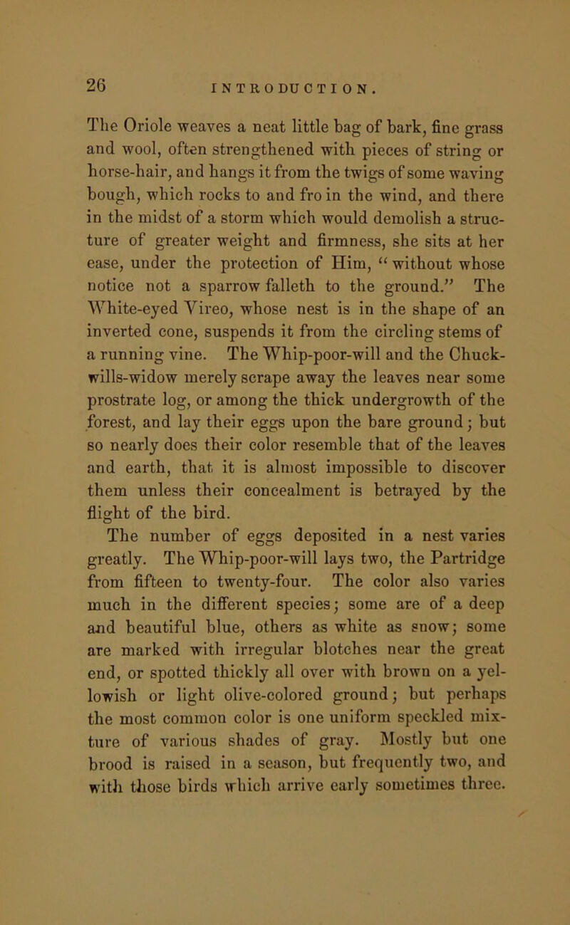 The Oriole weaves a neat little bag of bark, fine grass and wool, often strengthened with pieces of string or horse-hair, and hangs it from the twigs of some waving bough, which rocks to and fro in the wind, and there in the midst of a storm which would demolish a struc- ture of greater weight and firmness, she sits at her ease, under the protection of Him, “ without whose notice not a sparrow falleth to the ground.” The White-eyed Vireo, whose nest is in the shape of an inverted cone, suspends it from the circling stems of a running vine. The Whip-poor-will and the Chuck- wills-widow merely scrape away the leaves near some prostrate log, or among the thick undergrowth of the forest, and lay their eggs upon the bare ground; but so nearly does their color resemble that of the leaves and earth, that it is almost impossible to discover them unless their concealment is betrayed by the flight of the bird. The number of eggs deposited in a nest varies greatly. The Whip-poor-will lays two, the Partridge from fifteen to twenty-four. The color also varies much in the difierent species; some are of a deep and beautiful blue, others as white as snow; some are marked with irregular blotches near the great end, or spotted thickly all over with brown on a yel- lowish or light olive-colored ground; but perhaps the most common color is one uniform speckled mix- ture of various shades of gray. Mostly but one brood is raised in a season, but frequently two, and with tliose birds which arrive early sometimes three.