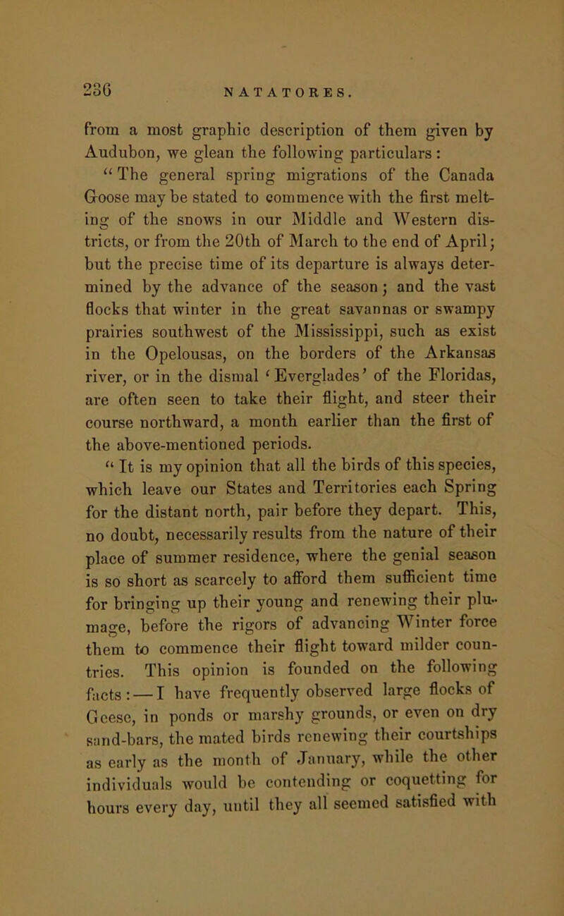 23G from a most graphic description of them given by Audubon, we glean the following particulars: “ The general spring migrations of the Canada Goose maybe stated to commence with the first melt- ing of the snows in our Middle and Western dis- tricts, or from the 20th of March to the end of April; but the precise time of its departure is always deter- mined by the advance of the season; and the vast flocks that winter in the great savannas or swampy prairies southwest of the Mississippi, such as exist in the Opelousas, on the borders of the Arkansas river, or in the dismal ‘Everglades’ of the Floridas, are often seen to take their flight, and steer their course northward, a month earlier than the first of the above-mentioned periods. “ It is my opinion that all the birds of this species, which leave our States and Territories each Spring for the distant north, pair before they depart. This, no doubt, necessarily results from the nature of their place of summer residence, where the genial season is so short as scarcely to afford them sufiicient time for bringing up their young and renewing their plu- mage, before the rigors of advancing Winter force them to commence their flight toward milder coun- tries. This opinion is founded on the following fjicts: — I have frequently observed large flocks of Geese, in ponds or marshy grounds, or even on dry sand-bars, the mated birds renewing their courtships as early as the month of January, while the other individuals would he contending or coquetting for hours every day, until they all seemed satisfied with