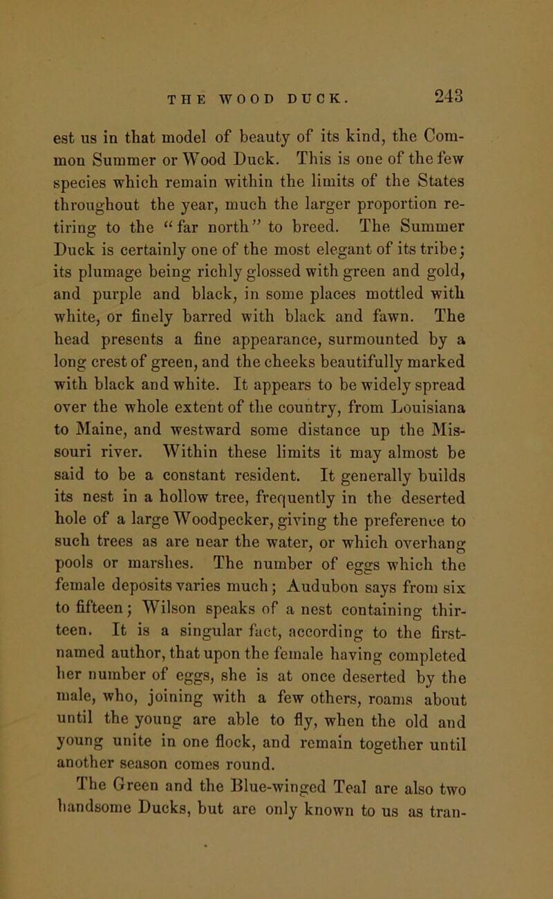 est us in that model of beauty of its kind, the Com- mon Summer or Wood Duck. This is one of the few species which remain within the limits of the States throughout the year, much the larger proportion re- tiring to the “far north” to breed. The Summer Duck is certainly one of the most elegant of its tribe; its plumage being richly glossed with green and gold, and purple and black, in some places mottled with white, or finely barred with black and fawn. The head presents a fine appearance, surmounted by a long crest of green, and the cheeks beautifully marked with black and white. It appears to be widely spread over the whole extent of the country, from Louisiana to Maine, and westward some distance up the Mis- souri river. Within these limits it may almost be said to be a constant resident. It generally builds its nest in a hollow tree, frequently in the deserted hole of a large Woodpecker, giving the preference to such trees as are near the water, or which overhang: pools or marshes. The number of eggs which the female deposits varies much; Audubon says from six to fifteen; Wilson speaks of a nest containing thir- teen. It is a singular fact, according to the first- named author, that upon the female having completed her number of eggs, she is at once deserted by the male, who, joining with a few others, roams about until the young are able to fly, when the old and young unite in one flock, and remain together until another season comes round. The Green and the Blue-winged Teal are also two handsome Ducks, but are only known to us as tran-