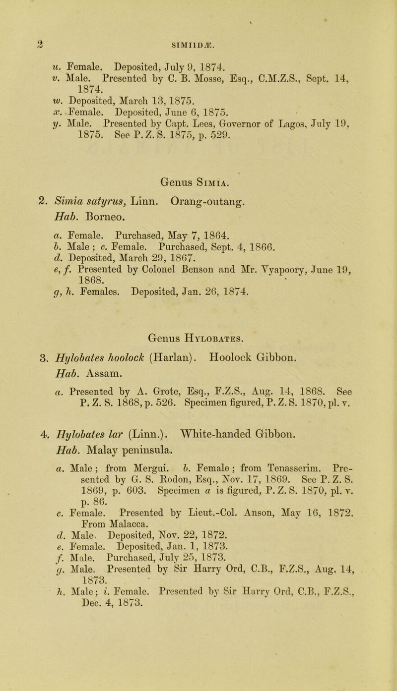 SIMI1DVK. u. Female. Deposited, July 9, 1874. v. Male. Presented by C. B. Mosse, Esq., C.M.Z.S., Sept. 14, 1874. w. Deposited, March 13,1875. x. Female. Deposited, June 6, 1875. y. Male. Presented by Capt. Lees, Governor of Lagos, July 19, 1875. See P. Z. S. 1875, p. 529. Genus Simia. 2. Simia satyrus, Linn. Orang-outang. Hab. Borneo. a. Female. Purchased, May 7, 1864. b. Male ; c. Female. Purchased, Sept. 4, 1866. d. Deposited, March 29, 1867. e, f. Presented by Colonel Benson and Mr. Yyapoory, June 19, 1868. * * y, h. Females. Deposited, Jan. 26, 1874. Genus Hylobates. 3. Hylobates hoolock (Harlan). Hoolock Gibbon. Hab. Assam. a. Presented by A. Grote, Esq., F.Z.S., Aug. 14, 1868. See P. Z. S. 1868, p. 526. Specimen figured, P. Z. S. 1870, pi. v. 4. Hylobates lar (Linn.). White-handed Gibbon. Hab. Malay peninsula. a. Male ; from Mergui. b. Female ; from Tenasserim. Pre- sented by G. S. Bodon, Esq., Nov. 17, 1869. See P. Z. S. 1869, p. 603. Specimen a is figured, P. Z. S. 1870, pi. v. p. 86. c. Female. Presented by Lieut.-Col. Anson, May 16, 1872. From Malacca. d. Male, Deposited, Nov. 22, 1872. e. Female. Deposited, Jan. 1, 1873. f. Male. Purchased, July 25, 1873. (/. Male. Presented by Sir Harry Ord, C.B., F.Z.S., Aug. 14, 1873. h. Male; i. Female. Presented by Sir Harry Ord, C.B., F.Z.S., Dec. 4, 1873.