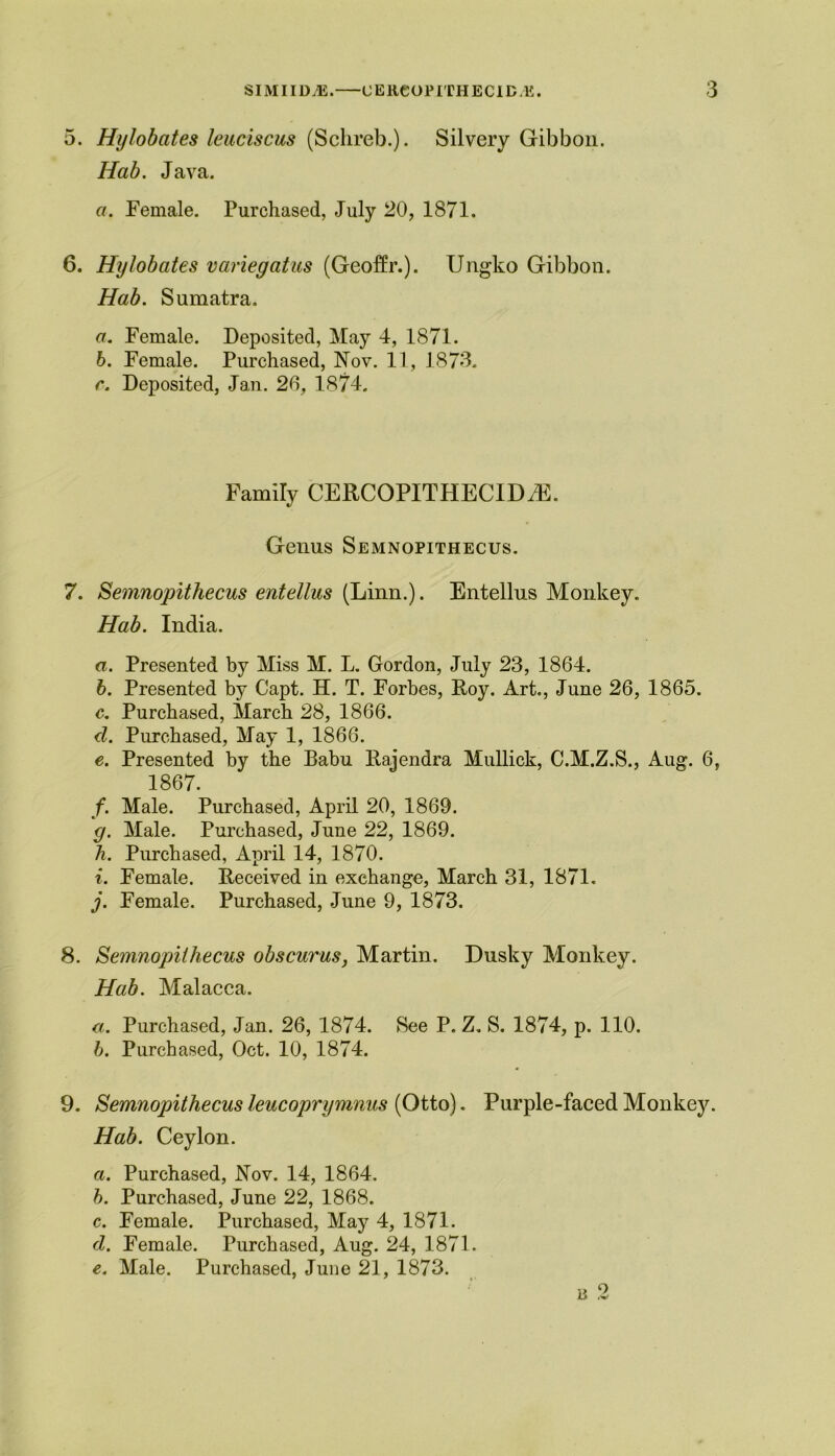 5. Hylobates leuciscus (Sclireb.). Silvery Gibbon. Hab. Java. a. Female. Purchased, July 20, 1871. 6. Hylobates variegatus (Geoffr.). Ungko Gibbon. Hab. Sumatra. a. Female. Deposited, May 4, 1871. b. Female. Purchased, Nov. 11, 1873. r. Deposited, Jan. 26, 1874. Family CERCOPITPIECIDiE. Genus Semnopithecus. 7. Semnopithecus entellus (Linn.). Entellus Monkey. Hab. India. a. Presented by Miss M. L. Gordon, July 23, 1864. b. Presented by Capt. H. T. Forbes, Roy. Art., June 26, 1865. c. Purchased, March 28, 1866. d. Purchased, May 1, 1866. e. Presented by the Babu Rajendra Mullick, C.M.Z.S., Aug. 6, 1867. f. Male. Purchased, April 20, 1869. y. Male. Purchased, June 22, 1869. h. Purchased, April 14, 1870. i. Female. Received in exchange, March 31, 1871. j. Female. Purchased, June 9, 1873. 8. Semnopithecus obscurus, Martin. Dusky Monkey. Hab. Malacca. a. Purchased, Jan. 26, 1874. See P. Z. S. 1874, p. 110. b. Purchased, Oct. 10, 1874. 9. Semnopithecusleucoprymnus {Otto). Purple-faced Monkey. Hab. Ceylon. a. Purchased, Nov. 14, 1864. b. Purchased, June 22, 1868. c. Female. Purchased, May 4, 1871. d. Female. Purchased, Aug. 24, 1871. e. Male. Purchased, June 21, 1873.