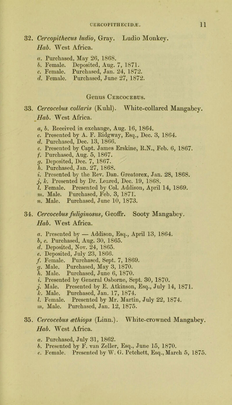 32. Cercopithecus Indio, Gray. Luclio Monkey. Hab. West Africa. a. Purchased, May 26, 1868. b. Female. Deposited, Aug. 7, 1871. c. Female. Purchased, Jan. 24, 1872. d. Female. Purchased, June 27, 1872. Genus Cercocebus. 33. Cercocebus collaris (Kuhl). White-collared Mangabey. Hab. West Africa. a, b. Deceived in exchange, Aug. 16, 1864. c. Presented by A. F. Eidgway, Esq., Dec. 3, 1864. d. Purchased, Dec. 13, 1866. e. Presented by Capt. James Erskine, E.N., Feb. 6, 1867. f. Purchased, Aug. 5, 1867. g. Deposited, Dec. 7, 1867. h. Purchased, Jan. 27, 1868. i. Presented by the Eev. Dan. Greatorex, Jan. 28, 1868. j. h\ Presented by Dr. beared, Dec. 19, 1868. l. Female. Presented by Col. Addison, April 14, 1869. m. Male. Purchased, Feb. 3, 1871. n. Male. Purchased, June 10, 1873. 34. Cercocebus fuliginosus, Geoffr. Sooty Mangabey, Hab. West Africa. a. Presented by — Addison, Esq., April 13, 1864. b, c. Purchased, Aug. 30, 1865. d. Deposited, Nov. 24, 1865. e. Deposited, July 23, 1866. /. Female. Purchased, Sept. 7, 1869. g. Male. Purchased, May 3, 1870. h. Male. Purchased, June 6, 1870. i. Presented by General Osborne, Sept. 30, 1870. j. Male. Presented by E. Atkinson, Esq., July 14, 1871. h. Male. Purchased, Jan. 17, 1874. 1. Female. Presented by Mr. Martin, July 22, 1874. in. Male. Purchased, Jan. 12, 1875. 35. Cercocebus cethiops (Linn.). White-crowned Mangabey. Hab. West Africa. a. Purchased, July 31, 1862. b. Presented by F. van Zeller, Esq., June 15, 1870. c. Female. Presented by W. G. Pctchott, Esq., March 5, 1875.