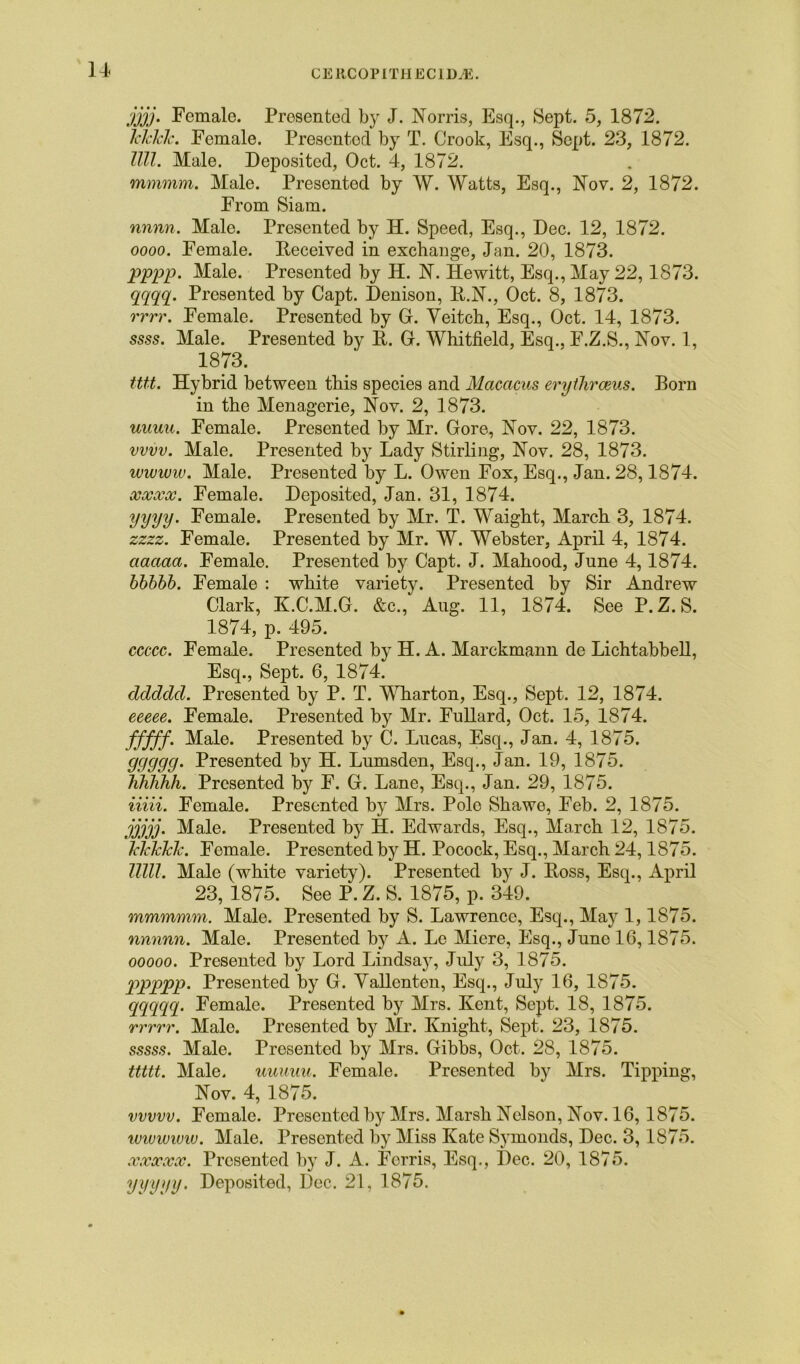 jjjj. Female. Presented by J. Norris, Esq., Sept. 5, 1872. JcJcJch. Female. Presented by T. Crook, Esq., Sept. 23, 1872. Till. Male. Deposited, Oct. 4, 1872. mmmm. Male. Presented by W. Watts, Esq., Nov. 2, 1872. From Siam. nnnn. Male. Presented by H. Speed, Esq., Dec. 12, 1872. oooo. Female. Received in exchange, Jan. 20, 1873. pppp. Male. Presented by H. N. Hewitt, Esq., May 22,1873. qqqq. Presented by Capt. Denison, R.N., Oct. 8, 1873. rrrr. Female. Presented by G. Yeitch, Esq., Oct. 14, 1873. ssss. Male. Presented by R. G. Whitfield, Esq., F.Z.S., Nov. 1, 1873. tttt. Hybrid between this species and Macacus erytlirceus. Born in the Menagerie, Nov. 2, 1873. uuuu. Female. Presented by Mr. Gore, Nov. 22, 1873. vvvv. Male. Presented by Lady Stirling, Nov. 28, 1873. wwwiv. Male. Presented by L. Owen Fox, Esq., Jan. 28,1874. OjOCCCQC • Female. Deposited, Jan. 31, 1874. yyyy. Female. Presented by Mr. T. Waight, March 3, 1874. zzzz. Female. Presented by Mr. W. Webster, April 4, 1874. aaaaa. Female. Presented by Capt. J. Mahood, June 4,1874. bbbbb. Female : white variety. Presented by Sir Andrew Clark, K.C.M.G. &c., Aug. 11, 1874. See P. Z. S. 1874, p. 495. ccccc. Female. Presented by H. A. Marckmann de Lichtabbell, Esq., Sept. 6, 1874. dclddd. Presented by P. T. Wharton, Esq., Sept. 12, 1874. eeeee. Female. Presented by Mr. Fullard, Oct. 15, 1874. fffff. Male. Presented by C. Lucas, Esq., Jan. 4, 1875. 99999' Presented by H. Lumsden, Esq., Jan. 19, 1875. Tihhhh. Presented by F. G. Lane, Esq., Jan. 29, 1875. iiiii. Female. Presented by Mrs. Polo Shawe, Feb. 2, 1875. jjjjj. Male. Presented by H. Edwards, Esq., March 12, 1875. TTlcTclc. Female. Presented by H. Pocock, Esq., March 24,1875. Hill. Male (white variety). Presented by J. Ross, Esq., April 23, 1875. See P. Z. S. 1875, p. 349. mmmmm. Male. Presented by S. Lawrence, Esq., May 1,1875. nnnnn. Male. Presented by A. Le Micre, Esq., Juno 16,1875. ooooo. Presented by Lord Lindsaj^, July 3, 1875. ppppp. Presented by G. Vallcnten, Esq., July 16, 1875. qqqqq. Female. Presented by Mrs. Kent, Sept. 18, 1875. rrrrr. Malo. Presented by Mr. Knight, Sept. 23, 1875. sssss. Male. Presented by Mrs. Gibbs, Oct. 28, 1875. ttttt. Male. uuuuu. Female. Presented by Mrs. Tipping, Nov. 4, 1875. vvvvv. Female. Presented bjr Mrs. Marsh Nelson, Nov. 16, 1875. wwwiuw. Male. Presented by Miss Kate Symonds, Dec. 3,1875. xxxxx. Presented by J. A. Ferris, Esq., Dec. 20, 1875. yyyyy. Deposited, Dec. 21, 1875.