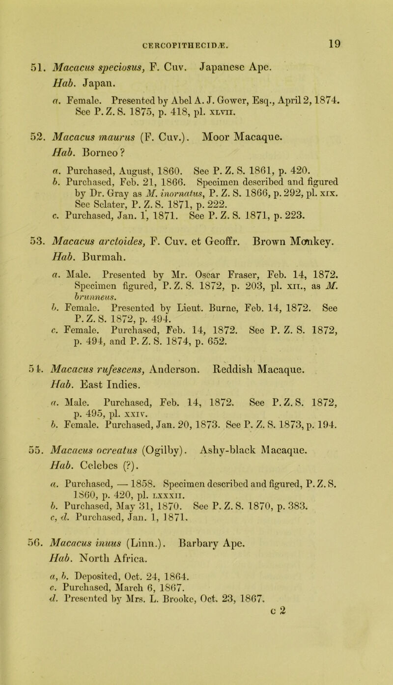 51. Macacus speciosus, F. Cuv. Japanese Ape. Hab. Japan. a. Female. Presented by Abel A. J. Gower, Esq., April 2,1874. See P. Z. S. 1875, p. 418, pi. xlvii. 52. Macacus maurus (F. Cuv.). Moor Macaque. Hab. Borneo ? a. Purchased, August, 1860. See P. Z. S. 1861, p. 420. b. Purchased, Feb. 21, 1866. Specimen described and figured by Dr. Gray as M. inornatus, P. Z. S. 1866, p. 292, pi. xix. See Sclater, P. Z. S. 1871, p. 222. c. Purchased, Jan. 1, 1871. See P. Z. S. 1871, p. 223. 53. Macacus arctoides, F. Cuv. et G-eoffr. Brown Mcrnkey. Hab. Burmali. a. Male. Presented by Mr. Oscar Fraser, Feb. 14, 1872. Specimen figured, P. Z. S. 1872, p. 203, pi. xii., as M. brunneus. h. Female. Presented by Lieut. Burne, Feb. 14, 1872. See P.Z. S. 1872, p. 494. c. Female. Purchased, Feb. 14, 1872. See P. Z. S. 1872, p. 494, and P.Z. S. 1874, p. 652. 51. Macacus rufescens, Anderson. Reddish Macaque. Hab. East Indies. a. Male. Purchased, Feb. 14, 1872. See P. Z. S. 1872, p. 495, pi. xxiv. b. Female. Purchased, Jan. 20, 1873. See P. Z. S. 1873, p. 194. 55. Macacus ocreatus (Ogilby). Ashy-black Macaque. Hab. Celebes (?). a. Purchased, — 1858. Specimen described and figured, P. Z. S. I860, p. 420, pi. lxxxii. b. Purchased, May 31, 1870. See P. Z. S. 1870, p. 383. c. d. Purchased, Jan. 1, 1871. 56. Macacus inuus (Linn.). Barbary Ape. Hab. North Africa. a, h. Deposited, Oct. 24, 1864. c. Purchased, March 6, 1867. d. Presented by Mrs. L. Brooke, Oct. 23, 1867. c 2