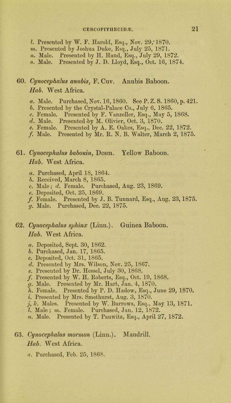 l. Presented by W. F. Harold, Esq., Nov. 29/1870. m. Presented by Joshua Duke, Esq., July 25, 1871. n. Male. Presented by H. Hand, Esq., July 29, 1872. o. Male. Presented by J. D. Lloyd, Esq., Oct. 16, 1874. 60. Cynocephalus anubis, F. Cuv. Anubis Baboon. Hab. West Africa. a. Male. Purchased, Hoy. 16,1860. See P. Z. S. 1860, p. 421. b. Presented by the Crystal-Palace Co., July 6, 1865. c. Female. Presented by F. Vanzeller, Esq., May 5, 1868. d. Male. Presented-by M. Olivier, Oct. 3, 1870. e. Female. Presented by A. E. Oakes, Esq., Dec. 22, 1872. /. Male. Presented by Mr. E. H. B. Walter, March 2, 1875. 61. Cynocephalus babouin, Desm. Yellow Baboon. Hab. West Africa. a. Purchased, April 18, 1864. b. Deceived, March 8, 1865. c. Male; d. Female. Purchased, Aug. 23, 1869. e. Deposited, Oct. 25, 1869. /. Female. Presented by J. B. Tunnard, Esq., Aug. 23, 1875. g. Male. Purchased, Dec. 22, 1875. 62. Cynocephalus sphinx (Linn.). Guinea Baboon. Hab. West Africa. a. Deposited, Sept. 30, 1862. b. Purchased, Jan. 17, 1865. c. Deposited, Oct. 31, 1865. d. Presented by Mrs. Wilson, Hoy. 25, 1867. e. Presented by Dr. Hessel, July 30, 1868. f. Presented by W. H. ltoberts, Esq., Oct. 19, 1868. g. Male. Presented by Mr. Hart, Jan. 4, 1870. li. Female. Presented by P. D. Hadow, Esq., June 29, 1870. i. Presented by Mrs. Smethurst, Aug. 3, 1870. j, Ic. Males. Presented by W. Burrows, Esq., May 13, 1871. 1. Male ; m. Female. Purchased, Jan. 12, 1872. n. Male. Presented by T. Pauwitz, Esq., April 27, 1872. 63. Cynocephalus mormon (Linn.). Mandrill. Hab. West Africa.