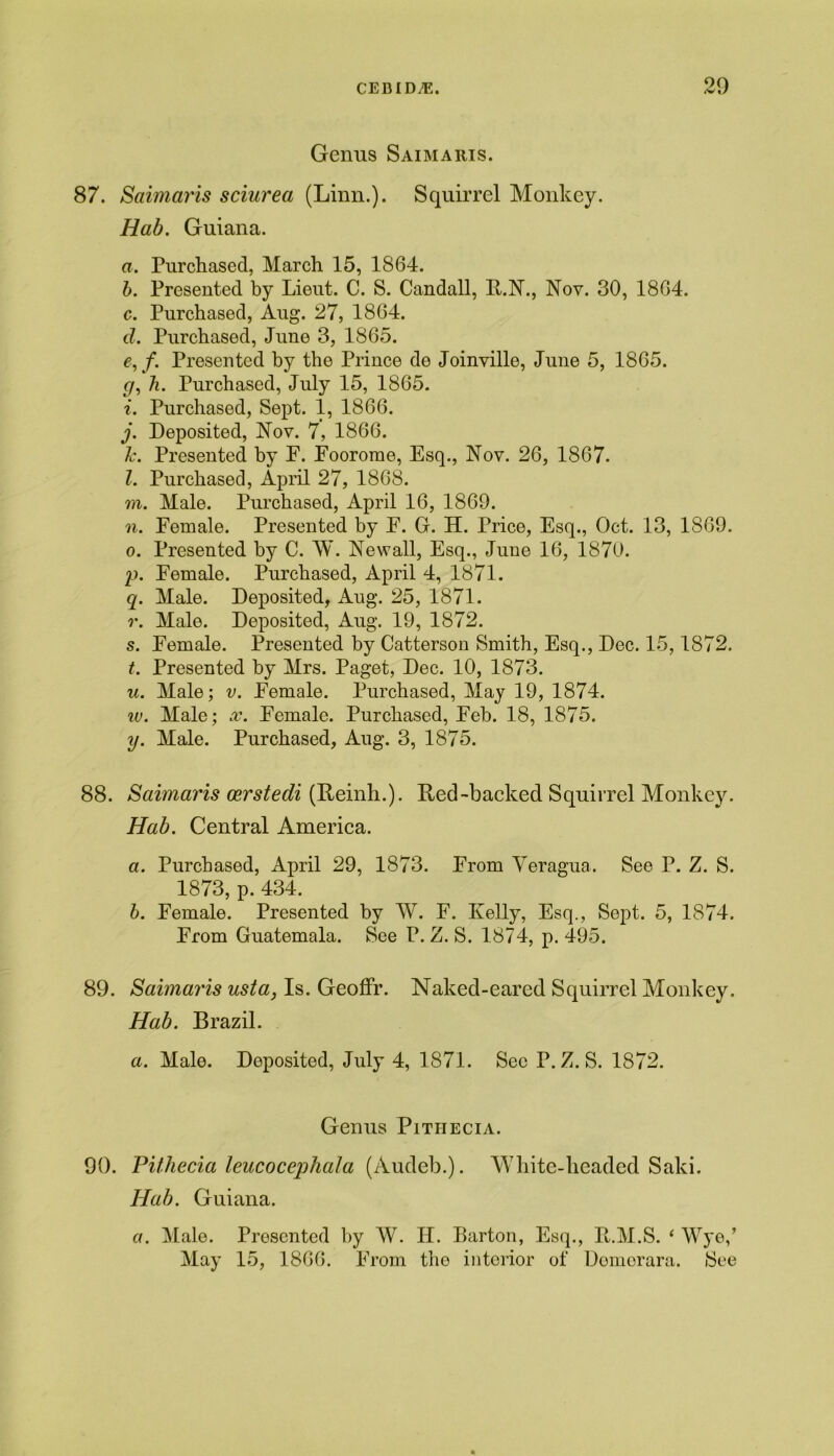 Genus Saimaris. 87. Saimaris sciurea (Linn.). Squirrel Monkey. Hab. Guiana. a. Purchased, March 15, 1864. b. Presented by Lieut. C. S. Candall, R.N., Nov. 30, 1864. c. Purchased, Aug. 27, 1864. d. Purchased, June 3, 1865. e. f. Presented by the Prince de Joinville, June 5, 1865. g, h. Purchased, July 15, 1865. i. Purchased, Sept. 1, 1866. j. Deposited, Nov. 7, 1866. Tc. Presented by F. Foorome, Esq., Nov. 26, 1867. l. Purchased, April 27, 1868. m. Male. Purchased, April 16, 1869. n. Female. Presented by F. G. H. Price, Esq., Oct. 13, 1869. o. Presented by C. W. Newall, Esq., June 16, 1870. p. Female. Purchased, April 4, 1871. q. Male. Deposited, Aug. 25, 1871. r. Male. Deposited, Aug. 19, 1872. s. Female. Presented by Catterson Smith, Esq., Dec. 15,1872. t. Presented by Mrs. Paget, Dec. 10, 1873. u. Male; v. Female. Purchased, May 19, 1874. iv. Male; x. Female. Purchased, Feb. 18, 1875. y. Male. Purchased, Aug. 3, 1875. 88. Saimaris oerstedi (Reinh.). Red-backed Squirrel Monkey. Hab. Central America. a. Purchased, April 29, 1873. From Yeragua. See P. Z. S. 1873, p. 434. b. Female. Presented by W. F. Kelly, Esq., Sept. 5, 1874. From Guatemala. See P. Z. S. 1874, p. 495. 89. Saimaris usta, Is. Geoffr. Naked-eared Squirrel Monkey. Hab. Brazil. a. Male. Deposited, July 4, 1871. See P. Z. S. 1872. Genus Pitiiecia. 90. Pit.hecia leucocephala (Audeb.). White-headed Saki. Hab. Guiana. a. Male. Presented by W. II. Barton, Esq., R.M.S. ‘ Wye/ May 15, 1866. From the interior of Domorara. See