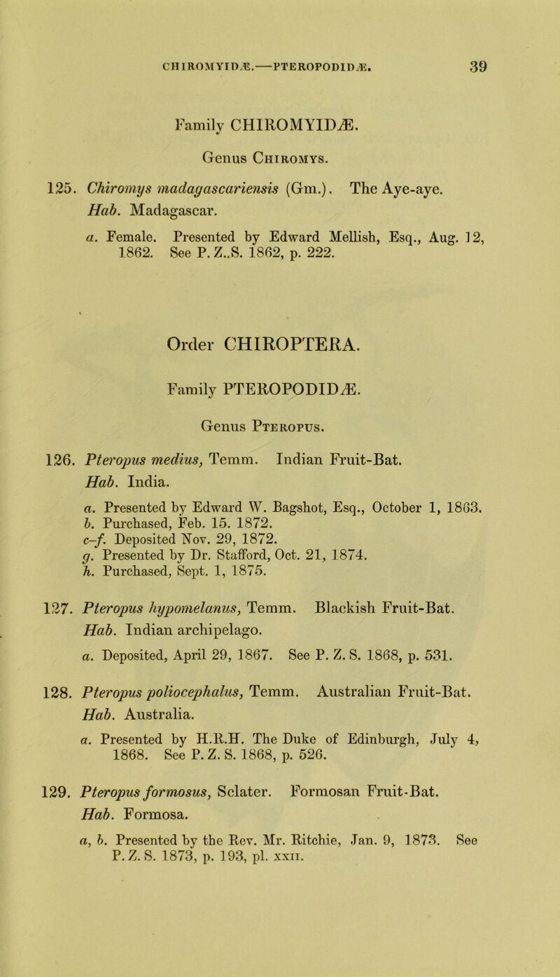 Family CHIROMYIDAS. Genus Chiromys. 125. Chiromys madagascariensis (Gm.). The Aye-aye. Hah. Madagascar. a. Female. Presented by Edward Mellish, Esq., Aug. 12, 1862. See P. Z..S. 1862, p. 222. Order CHIROPTERA. Family PTEROPODIDdS. Genus Pteropus. 126. Pteropus medius, Temm. Indian Fruit-Bat. Hah. India. a. Presented by Edward W. Bagshot, Esq., October 1, 1863. h. Purchased, Feb. 15. 1872. c-f. Deposited Nov. 29, 1872. g. Presented by Dr. Stafford, Oct. 21, 1874. h. Purchased, Sept. 1, 1875. 127. Pteropus hypomelanus, Temm. Blackish Fruit-Bat, Hab. Indian archipelago. a. Deposited, April 29, 1867. See P. Z. S. 1868, p. 531. 128. Pteropus poliocephalus, Temm. Australian Fruit-Bat. Hab. Australia. a. Presented by H.R.H. The Duke of Edinburgh, July 4, 1868. See P. Z. S. 1868, p. 526. 129. Pteropus for mo sus, Sclater. Formosan Fruit-Bat. Hab. Formosa. a, b. Presented by the Rev. Mr. Ritchie, Jan. 9, 1873. See P. Z. S. 1873, p. 193, pi. xxii.