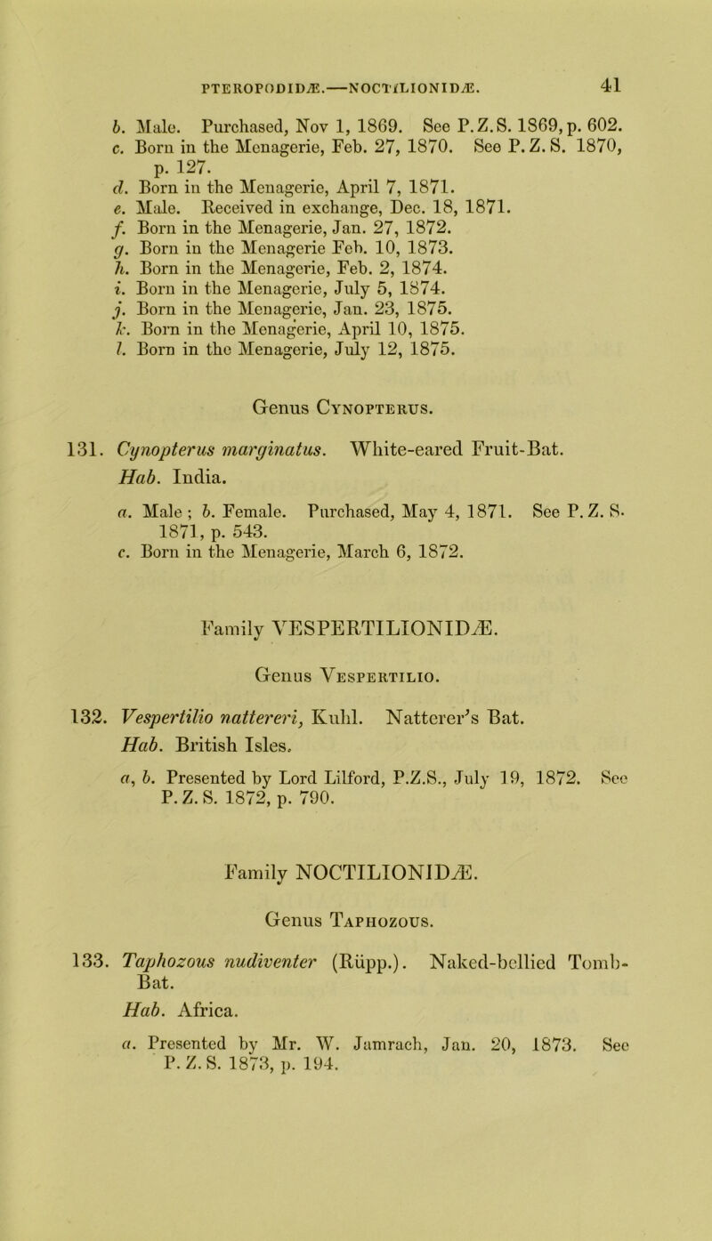 b. Male. Purchased, Nov 1, 1869. See P.Z.S. 1869, p. 602. c. Born in the Menagerie, Feb. 27, 1870. See P.Z.S. 1870, p. 127. d. Born in the Menagerie, April 7, 1871. e. Male. Received in exchange, Dec. 18, 1871. f. Born in the Menagerie, Jan. 27, 1872. g. Born in the Menagerie Feb. 10, 1873. h. Born in the Menagerie, Feb. 2, 1874. i. Born in the Menagerie, July 5, 1874. j. Born in the Menagerie, Jan. 23, 1875. Jc. Born in the Menagerie, April 10, 1875. /. Born in the Menagerie, July 12, 1875. Genus Cynopterus. 131. Cynopterus marginatus. White-eared Fruit-Bat. Hab. India. a. Male; b. Female. Purchased, May 4, 1871. See P.Z. S- 1871, p. 543. c. Born in the Menagerie, March 6, 1872. Family VESPERTILIONIDiE. Genus Vespertilio. 132. Vespertilio nattereri, Kulil. NattereFs Bat. Hab. British Isles, a, b. Presented by Lord Lilford, P.Z.S., July 19, 1872. See P. Z. S. 1872, p. 790. Family NOCTILIONIDvE. Genus Taphozous. 133. Taphozous nudiventer (Rupp.). Naked-bcllied Tomb- Bat. Hab. Africa. a. Presented by Mr. W. Jamrach, Jan. 20, 1873. Sec P.Z.S. 1873, p. 194.