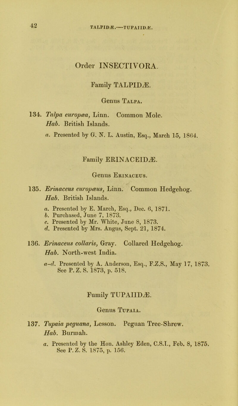 TA LPI DM. T UPAIID/K. Order INSECTIVORA. Family TALPIDvE. Genus Talpa. 134. Talpa europcea, Linn. Common Mole. Hab. British Islands. a. Presented by G. N. L. Austin, Esq., March 15, 1804. Family ERINACEIDiE. Genus Erinaceus. 135. Erinaceus europceus, Linn. Common Hedgehog. Hab. British Islands. a. Presented by E. March, Esq., Dec. 6, 1871. b. Purchased, June 7, 1873. c. Presented by Mr. White, June 8, 1873. d. Presented by Mrs. Angus, Sept. 21, 1874. 136. Erinaceus collaris, Gray. Collared Hedgehog. Hab. North-west India. a-d. Presented by A. Anderson, Esq., F.Z.S., May 17, 1873. See P. Z. S. 1873, p. 518. Fumily TUPAIIDiE. Genus Tupaia. 137. Tupaia peguana, Lesson. Peguan Tree-Shrew. Hab. Bunn ah. a. Presented by the Hon. Ashley Eden, C.S.I., Feb. 8, 1875. See P. Z. S. 1875, p. 156.