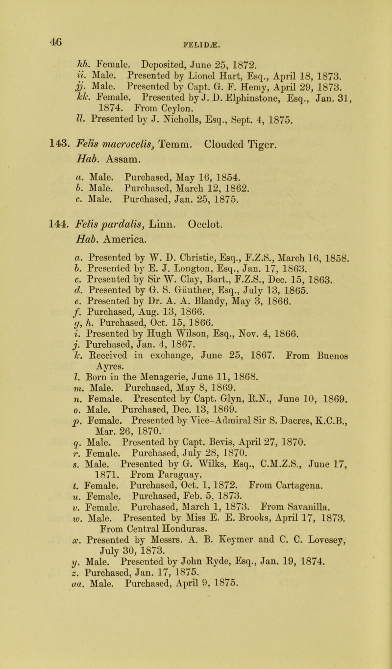 l-ELID^K. Jih. Female. Deposited, June 25, 1872. ii. Male. Presented by Lionel Hart, Esq., April 18, 1873. jj. Male. Presented by Capt. G. F. Hemy, April 29, 1873. Tele. Female. Presented by J. D. Elphinstone, Esq., Jan. 31, 1874. From Ceylon. II. Presented by J. Nicholls, Esq., Sept. 4, 1875. 143. Felis macrocelis, Teram. Clouded Tiger. Hab. Assam. a. Male. Purchased, May 16, 1854. b. Male. Purchased, March 12, 1862. c. Male. Purchased, Jan. 25, 1875. 144. Felis pardalis, Linn. Ocelot. Hab. America. a. Presented by W. D. Christie, Esq., F.Z.S., March 16, 1858. b. Presented by E. J. Longton, Esq., Jan. 17, 1863. c. Presented by Sir W. Clay, Bart., F.Z.S., Dec. 15, 1863. d. Presented by G. S. Gimther, Esq., July 13, 1865. e. Presented by Dr. A. A. Blandy, May 3, 1866. /. Purchased, Aug. 13, 1866. g, h. Purchased, Oct. 15, 1866. i. Presented by Hugh Wilson, Esq., Nov. 4, 1866. j. Purchased, Jan. 4, 1867. Tc. Deceived in exchange, June 25, 1867. From Buenos Ayres. l. Born in the Menagerie, June 11, 1868. m. Male. Purchased, May 8, 1869. n. Female. Presented by Capt. Glyn, B.N., June 10, 1869. o. Male. Purchased, Dec. 13, 1869. p. Female. Presented by Vice-Admiral Sir S. Dacres, K.C.B., Mar. 26, 1870. q. Male. Presented by Capt. Bevis, April 27, 1870. r. Female. Purchased, July 28, 1870. s. Male. Presented by G. Wilks, Esq., C.M.Z.S., Juue 17, 1871. From Paraguay. t. Female. Purchased, Oct. 1, 1872. From Cartagena. u. Female. Purchased, Feb. 5, 1873. v. Female. Purchased, March 1, 1873. From Savauilla. iv. Male. Presented by Miss E. E. Brooks, April 17, 1873. From Central Honduras. x. Presented by Messrs. A. B. Keymer and C. C. Lovesey, July 30, 1873. y. Male. Presented by John Hyde, Esq., Jan. 19, 1874. z. Purchased, Jan. 17, 1875. aa. Male. Purchased, April 9, 1875.