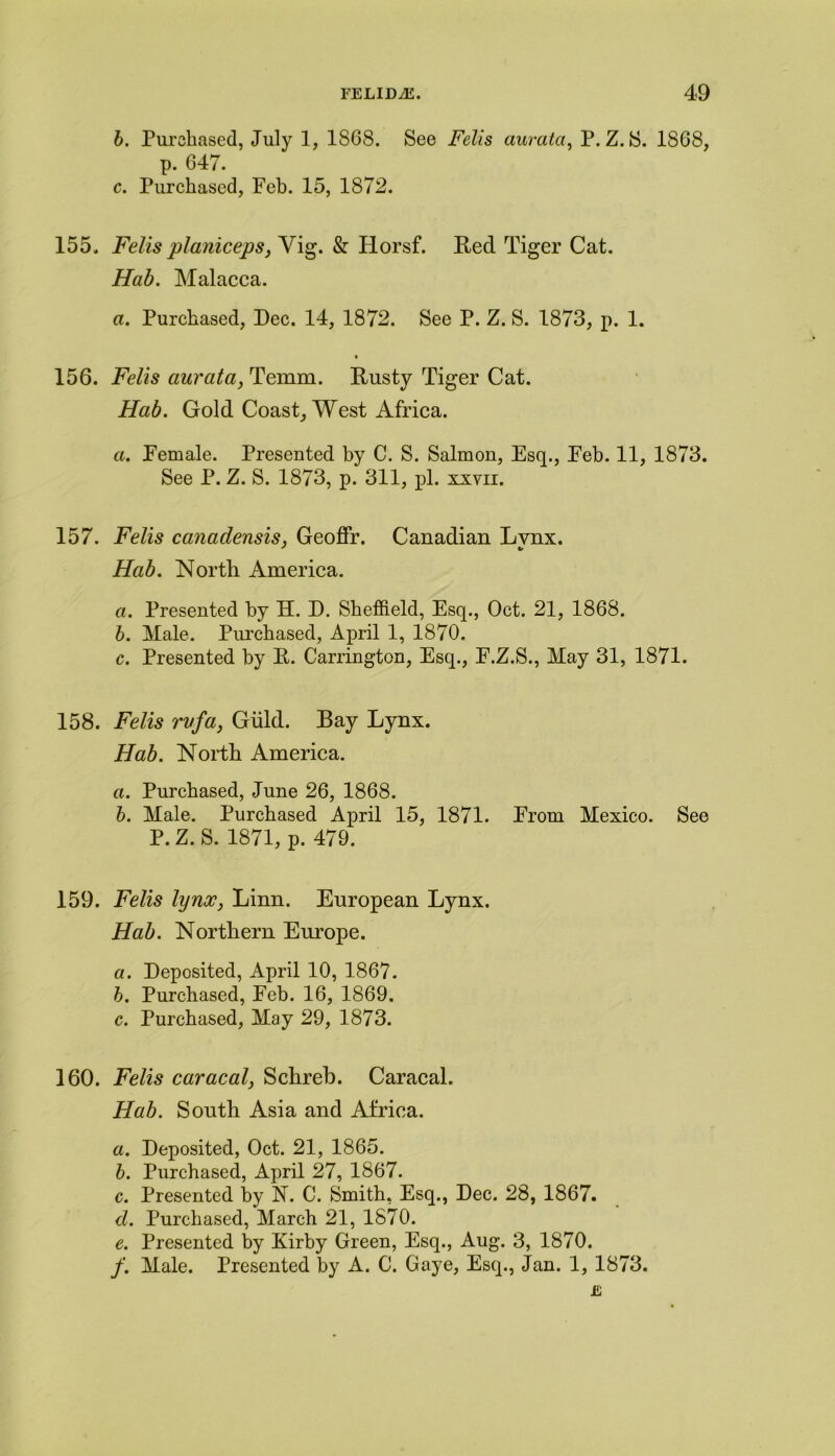 b. Purchased, July 1, 1S68. See Felis aurata, P. Z. S. 1868, p. 647. ' c. Purchased, Feb. 15, 1872. 155. Fells planiceps, Vig. & Horsf. Red Tiger Cat. Hab. Malacca. a. Purchased, Dec. 14, 1872. See P. Z. S. 1873, p. 1. 156. Fells aurata, Temrn. Rusty Tiger Cat. Hab. Gold Coast, West Africa. a. Female. Presented by C. S. Salmon, Esq., Feb. 11, 1873. See P. Z. S. 1873, p. 311, pi. xxvii. 157. Felis canadensis, Geoffr. Canadian Lynx. Hab. North America. a. Presented by H. D. Sheffield, Esq., Oct. 21, 1868. b. Male. Purchased, April 1, 1870. c. Presented by R. Carrington, Esq., F.Z.S., May 31, 1871. 158. Felis rvfa, Giild. Bay Lynx. Hab. North America. a. Purchased, June 26, 1868. b. Male. Purchased April 15, 1871. From Mexico. See P.Z. S. 1871, p. 479. 159. Felis lynx, Linn. European Lynx. Hab. Northern Europe. a. Deposited, April 10, 1867. b. Purchased, Feb. 16, 1869. c. Purchased, May 29, 1873. 160. Felis caracal, Schreb. Caracal. Hab. South Asia and Africa. a. Deposited, Oct. 21, 1865. b. Purchased, April 27, 1867. c. Presented by N. C. Smith, Esq., Dec. 28, 1867. d. Purchased, March 21, 1870. e. Presented by Kirby Green, Esq., Aug. 3, 1870. /. Male. Presented by A. C. Gaye, Esq., Jan. 1, 1873. E