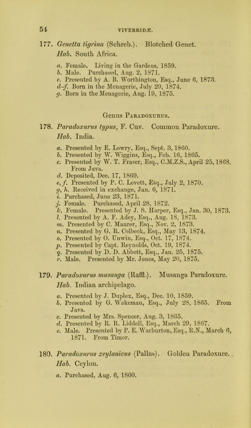 177. Genetta tigrina (Schreb.). Blotched Genet. Hab. South Africa. a. Female. Living in the Gardens, 1859. b. Male. Purchased, Aug. 2, 1871. c. Presented by A. B. Worthington, Esq., June 6, 1873. d-f. Born in the Menagerie, July 29, 1874. g. Born in the Menagerie, Aug. 19, 1875. Genus Paradoxurus. 178. Paradoxurus typus, F. Cuv. Common Paradoxure. Hab. India. a. Presented by E. Lowry, Esq., Sept. 3,1860. b. Presented by W. Wiggins, Esq., Feb. 16, 1865. c. Presented by W. T. Fraser, Esq., C.M.Z.S., April 25,1868. From Java. d. Deposited, Dec. 17, 1869. e. /. Presented by P. C. Lovett, Esq., July 2, 1870. c/, h. Deceived in exchange, Jan. 6, 1871. i. Purchased, June 23, 1871. j. Female. Purchased, April 28, 1872. 1c. Female. Presented by J. S. Harper, Esq., Jan. 30, 1873. l. Presented by A. F. Adey, Esq., Aug. 18, 1873. m. Presented by C. Maurer, Esq., Nov. 2, 1873. n. Presented by G. B. Colbcck, Esq., May 13, 1874. o. Presented by 0. Unwin, Esq., Oct. 17, 1874. p. Presented by Capt. Beynolds, Oct. 19, 1874. q. Presented by D. D. Abbott, Esq., Jan. 25, 1875. r. Male. Presented by Mr. Jones, May 20, 1875. 179. Paradoxurus musanga {Raffl.). Musanga Paradoxure. Hab. Indian archipelago. a. Presented by J. Duplex, Esq., Dec. 10, 1859. b. Presented by G. Wakeman, Esq., July 28, 1865. From Java. c. Presented by Mrs. Spencer, Aug. 3, 1865. d. Presented by B. B. Liddell, Esq., March 29, 1867. e. Male. Presented by P. E. Warburton, Esq., B.N., March 6, 1871. From Timor. 180. Paradoxurus seylanicus (Pallas). Golden Paradoxure. Hah. Ceylon. a. Purchased, Aug. 6, 1860.