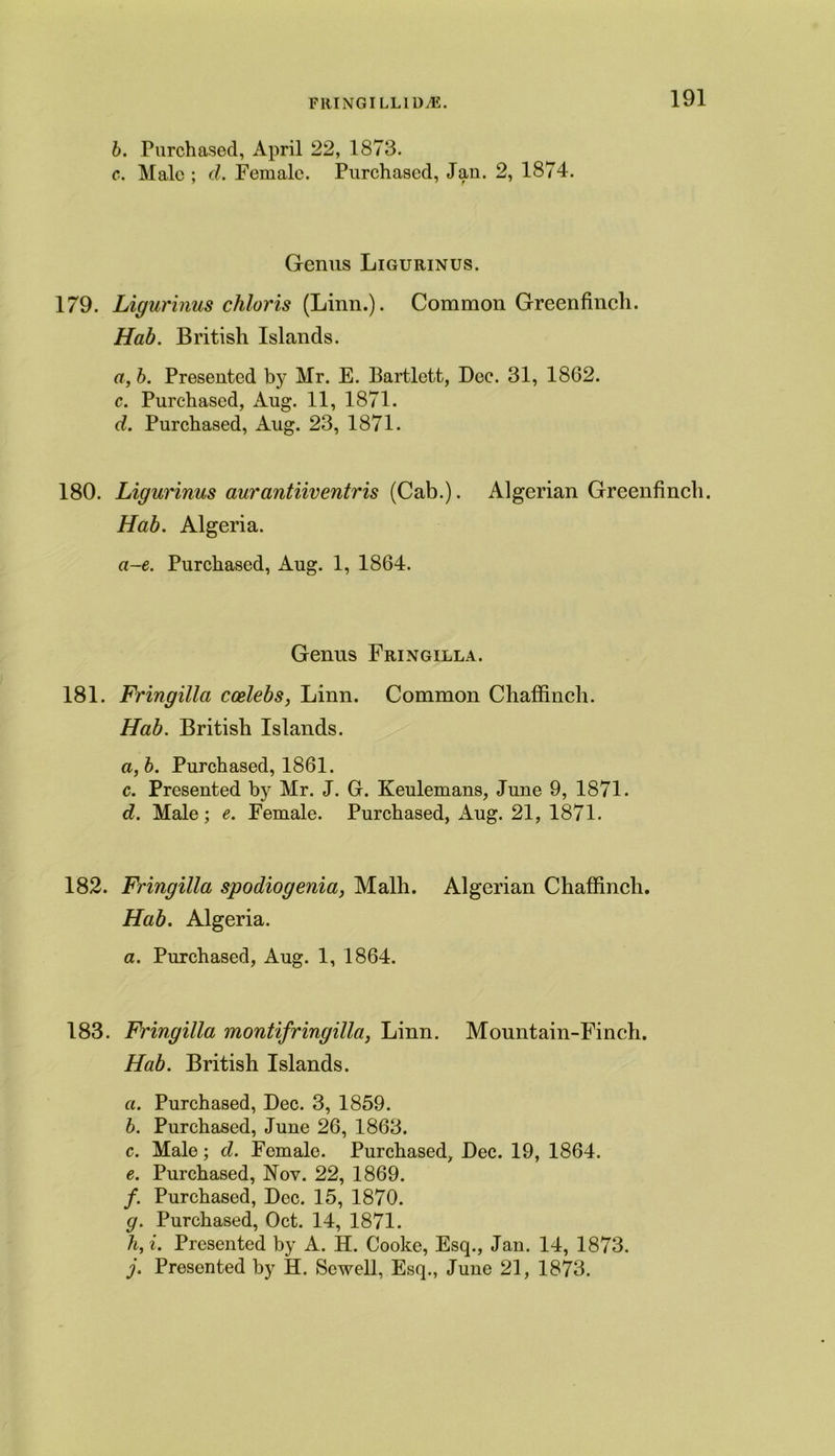 b. Purchased, April 22, 1873. c. Male ; d. Female. Purchased, Jan. 2, 1874. Genus Ligurinus. 179. Ligurinus chloris (Linn.). Common Greenfinch. Hab. British Islands. a, b. Presented by Mr. E. Bartlett, Dec. 31, 1862. c. Purchased, Aug. 11, 1871. d. Purchased, Aug. 23, 1871. 180. Ligurinus aurantiiventris (Cab.). Algerian Greenfinch. Hab. Algeria. a-e. Purchased, Aug. 1, 1864. Genus Fringilla. 181. Fringilla ccelebs, Linn. Common Chaffinch. Hab. British Islands. a, b. Purchased, 1861. c. Presented by Mr. J. G. Keulemans, June 9, 1871. d. Male; e. Female. Purchased, Aug. 21, 1871. 182. Fringilla spodiogenia, Malh. Algerian Chaffinch. Hab. Algeria. a. Purchased, Aug. 1, 1864. 183. Fringilla montifringilla, Linn. Mountain-Finch. Hab. British Islands. a. Purchased, Dec. 3, 1859. b. Purchased, June 26, 1863. c. Male; cl. Female. Purchased, Dec. 19, 1864. e. Purchased, Nov. 22, 1869. /. Purchased, Dec. 15, 1870. g. Purchased, Oct. 14, 1871. h, i. Presented by A. H. Cooke, Esq., Jan. 14, 1873. j. Presented by H. Sewell, Esq., June 21, 1873.