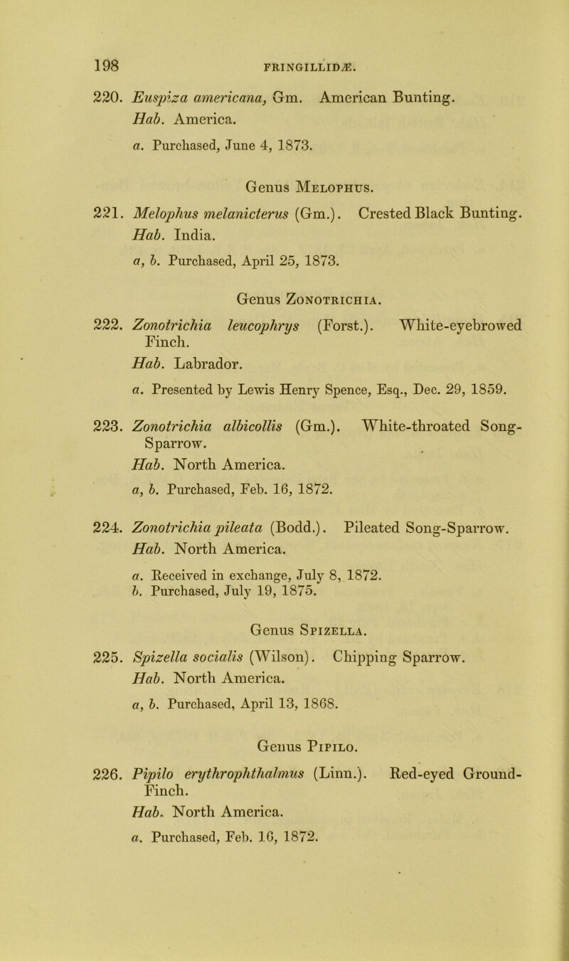 220. Euspiza americana, Gm. American Bunting. Hab. America. a. Purchased, June 4, 1873. Genus Melophus. 221. Melophus melanicterus (Gm.). Crested Black Bunting. Hab. India. a, b. Purchased, April 25, 1873. Genus Zonotrichia. 222. Zonotrichia leucophrys (Forst.). White-eyebrowed Finch. Hab. Labrador. a. Presented by Lewis Henry Spence, Esq., Dec. 29, 1859. 223. Zonotrichia albicollis (Gm.). White-throated Song- Sparrow. Hab. North America. a, b. Purchased, Feb. 16, 1872. 224. Zonotrichia pileata (Bodd.). Pileated Song-Sparrow. Hab. North America. a. Deceived in exchange, July 8, 1872. b. Purchased, July 19, 1875. Genus Spizella. 225. Spizella so cialis (Wilson). Chipping Sparrow. Hab. North America. a, b. Purchased, April 13, 1868. Genus Pipilo. 226. Pipilo erythrophthalmus (Linn.). Red-eyed Ground- Finch. Hab. North America.