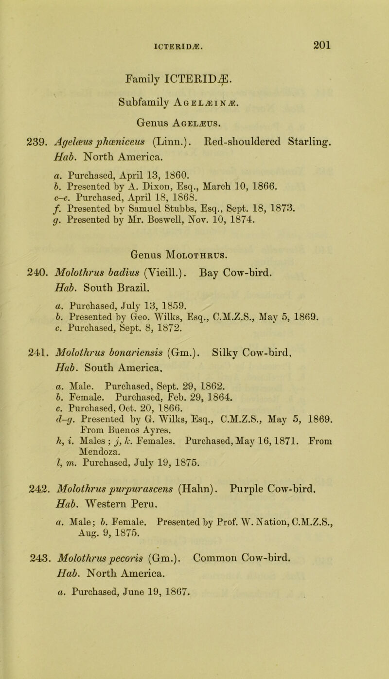 Family ICTEKIDZE. Subfamily Agelzein,e. Genus Agel^eus. 239. Agelceus phamiceus (Linn.). Ked-sliouldered Starling. Hab. North America. a. Purchased, April 13, 1860. b. Presented by A. Dixon, Esq., March 10, 1866. c-e. Purchased, April 18, 1868. /. Presented by Samuel Stubbs, Esq., Sept. 18, 1873. g. Presented by Mr. Boswell, Nov. 10, 1874. Genus Molothrus. 240. Molothrus badius (Vieill.). Bay Cow-bird. Hab. South Brazil. a. Purchased, July 13, 1859. b. Presented by Geo. Wilks, Esq., C.M.Z.S., May 5, 1869. c. Purchased, Sept. 8, 1872. 241. Molothrus bonariensis (Gm.). Silky Cow-bird, Hab. South America, a. Male. Purchased, Sept. 29, 1862. b. Female. Purchased, Feb. 29. 1864. c. Purchased, Oct. 20, 1866. d-g. Presented by G. Wilks, Esq., C.M.Z.S., May 5, 1869. From Buenos Ayres. h, i. Males ; j, Jc. Females. Purchased, May 16,1871. From Mendoza. I, m. Purchased, July 19, 1875. 242. Molothrus purpuras cens (Hahn). Purple Cow-bird, Hab. Western Peru. a. Male; b. Female. Presented by Prof. W. Nation, C.M.Z.S., Aug. 9, 1875. 243. Molothruspecoris (Gm.). Common Cow-bird. Hab. North America.