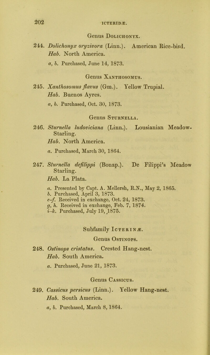 Genus Holichonyx. 244. Dolichonyx oryziv or a (Linn.). American Rice-bixd. Hah. North America. a, h. Purchased, June 14, 1873. Genus Xanthosomus. 245. Xanthosomus flavus (Gm.). Yellow Trupial. Hah. Buenos Ayres. a, b. Purchased, Oct. 30, 1873. Genus Sturnella. 246. Sturnella ludoviciana (Linn.). Lousianian Meadow- Starling. Hah. North America. a. Purchased, March 30, 1864. 247. Sturnella defilippi (Bonap.). He FilippPs Meadow Starling. Hah. La Plata. a. Presented by Capt. A. Mellersh, R.N., May 2, 1865. b. Purchased, April 3, 1873. c-f. Received in exchange, Oct. 24, 1873. g, h. Received in exchange, Feb. 7, 1874. i-lc. Purchased, July 19, 1875. Subfamily Icterin^e. Genus Ostinops. 248. Ostinops cristatus. Crested Hang-nest. Hab. South America. a. Purchased, Juno 21, 1873. Genus Cassicus. 249. Cassicus persicus (Linn.). Yellow Hang-nest. Hab. South America.