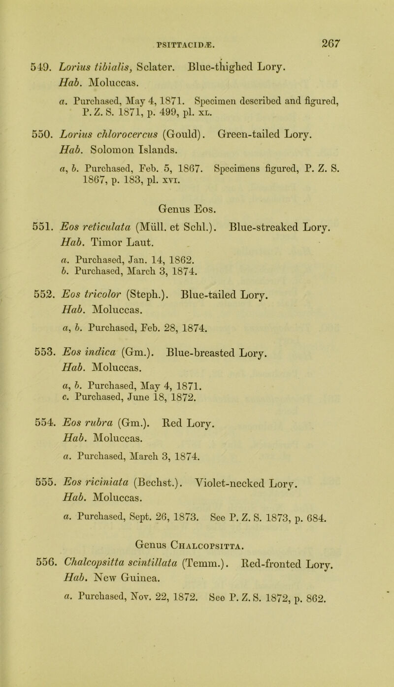 5-19. Lorius tibialis, Sclater. Blue-thighed Lory. Hab. Moluccas. a. Purchased, May 4,1871. Specimen described and figured, P.Z. S. 1871, p. 499, pi. xl. 550. Lorius chlorocercus (Gould). Green-tailed Lory. Hab. Solomon Islands. a, b. Purchased, Peb. 5, 1867. Specimens figured, P. Z. S. 1867, p. 183, pi. xvi. Genus Eos. 551. Eos reticulata (Mull, et Schl.). Blue-streaked Lory. Hab. Timor Laut. a. Purchased, Jan. 14, 1862. b. Purchased, March 3, 1874. 552. Eos tricolor (Steph.). Blue-tailed Lory. Hab. Moluccas. a, b. Purchased, Peb. 28, 1874. 553. Eos indica (Gm.). Blue-breasted Lory. Hab. Moluccas. a, b. Purchased, May 4, 1871. c. Purchased, June 18, 1872. 554. Eos rubra (Gm.). Bed Lory. Hab. Moluccas. a. Purchased, March 3, 1874. 555. Eos riciniata (Bechst.). Violet-necked Lory. Hab. Moluccas. a. Purchased, Sept. 26, 1873. See P. Z. S. 1873, p. 684. Genus Chalcofsitta. 556. Chalcopsitta scintillata (Temm.). Red-fronted Lory. Hab. New Guinea. a. Purchased, Bov. 22, 1872. See P. Z. S. 1872, p. 862.