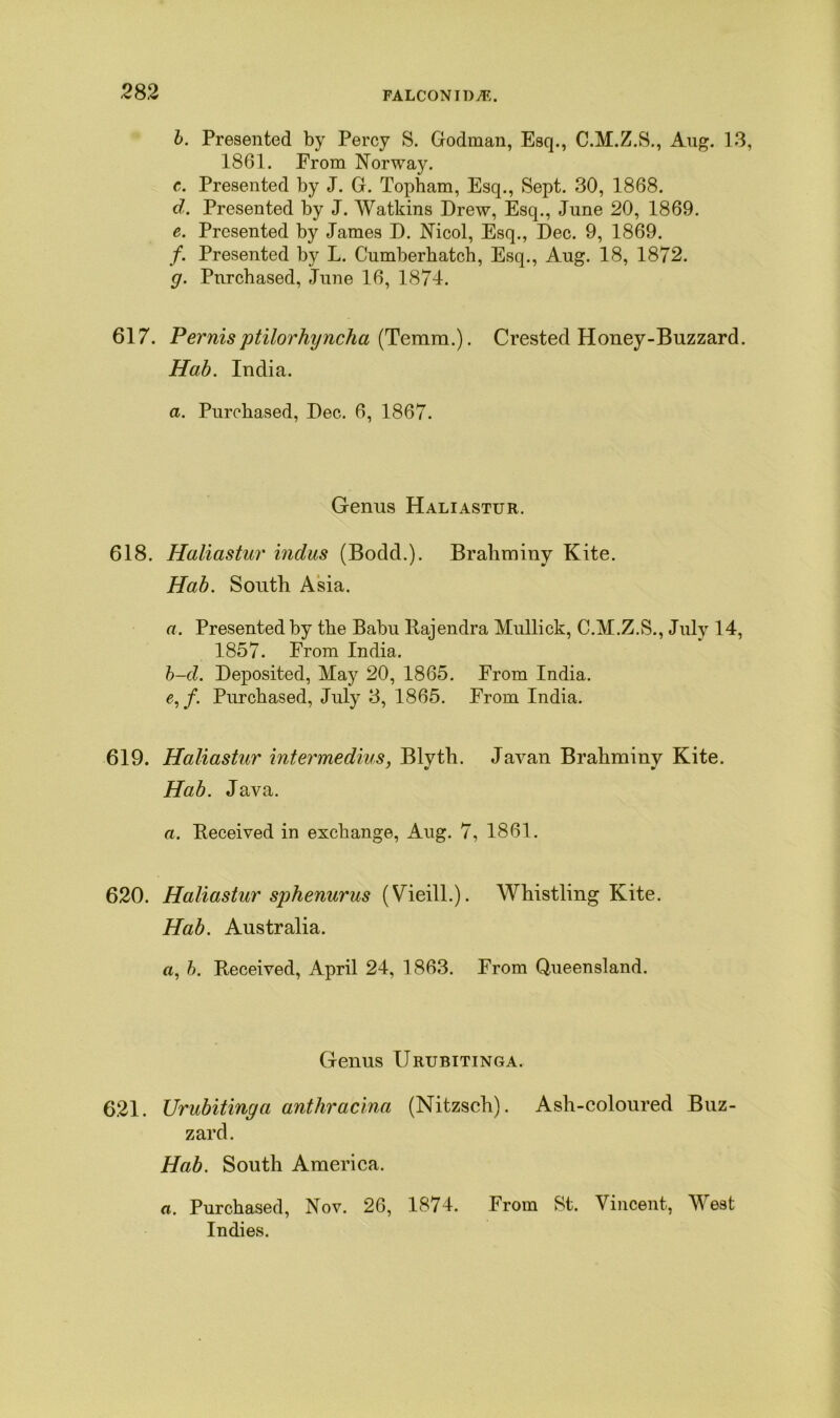 2 82 FALCON IT)^;. b. Presented by Percy S. Godman, Esq., C.M.Z.S., Aug. 13, 1861. From Norway. e. Presented by J. G. Topham, Esq., Sept. 30, 1868. d. Presented by J. Watkins Drew, Esq., June 20, 1869. e. Presented by James D. Nicol, Esq., Dec. 9, 1869. /. Presented by L. Cumberhatch, Esq., Aug. 18, 1872. g. Purchased, June 16, 1874. 617. Pernisptilorhyncha (Temra.). Crested Honey-Buzzard. Hab. India. a. Purchased, Dec. 6, 1867. Genus Haliastur. 618. Haliastur Indus (Bodd.). Brahminy Kite. Hab. South Asia. a. Presented by the Babu Rajendra Midlick, C.M.Z.S., July 14, 1857. From India. b-d. Deposited, May 20, 1865. From India. e, f. Purchased, July 3, 1865. From India. 619. Haliastur intermedins, Blyth. Javan Brahminy Kite. Hab. Java. a. Deceived in exchange, Aug. 7, 1861. 620. Haliastur sphenurus (Vieill.). Whistling Kite. Hab. Australia. a, b. Received, April 24, 1863. From Queensland. Genus Urubitinga. 621. Urubitinga anthracina (Nitzsch). Ash-coloured Buz- zard. Hab. South America. a. Purchased, Nov. 26, 1874. From St. Vincent, West Indies.