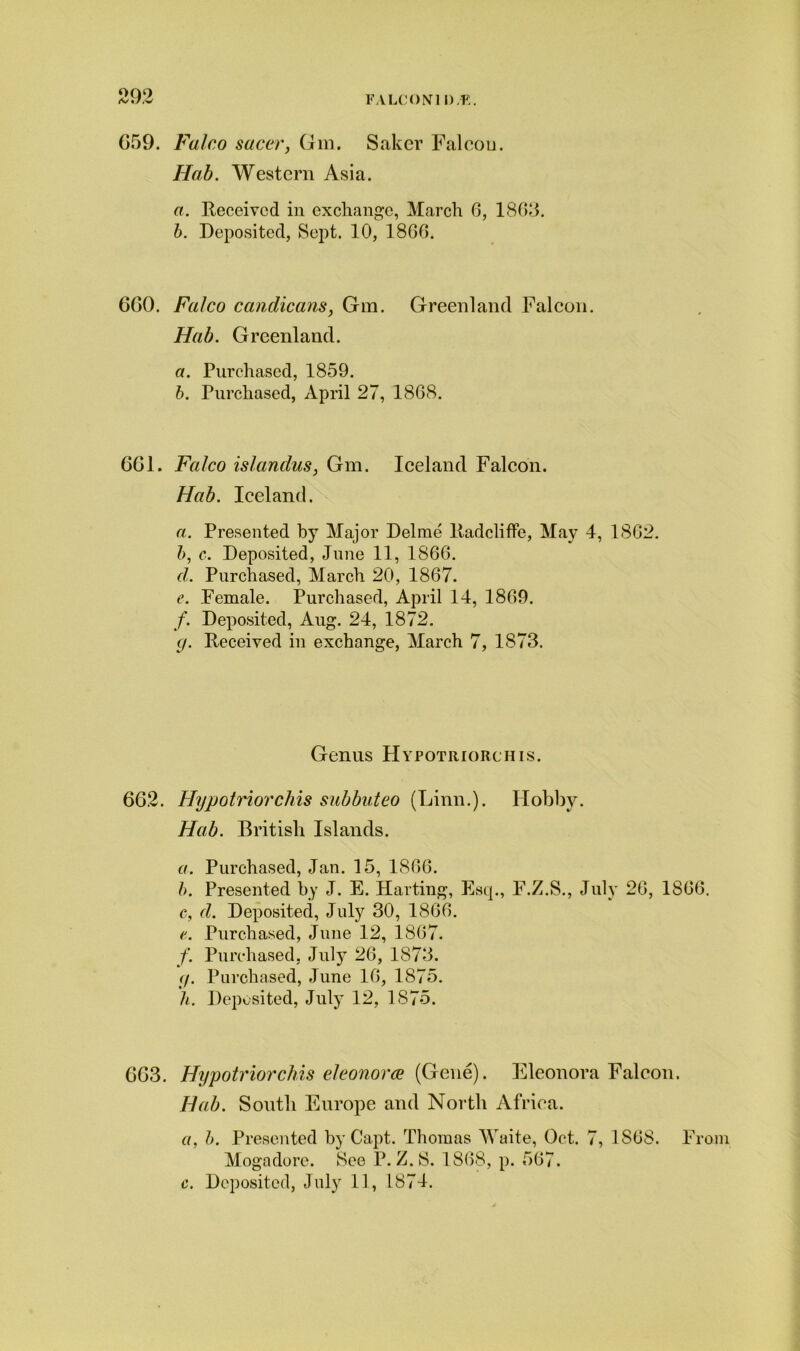 FALCONl I) ,K. G59. Falco sacer, Gm, Salter Falcon. Hab. Western Asia. a. Received in exchange, March 6, 1863. b. Deposited, Sept. 10, 1866. 6G0. Falco candicans, Gm. Greenland Falcon. Hab. Greenland. a. Purchased, 1859. b. Purchased, April 27, 1868. 6G1. Falco islandus, Gm. Iceland Falcon. Hab. Iceland. a. Presented by Major Delme ltadcliffe, May 4, 1862. b, c. Deposited, June 11, 1866. d. Purchased, March 20, 1867. e. Female. Purchased, April 14, 1869. /. Deposited, Aug. 24, 1872. y. Received in exchange, March 7, 1873. Genus Hypotriorchis. 6G2. Hypotriorchis subbuteo (Linn.). Hobby. Hab. British Islands. a. Purchased, Jan. 15, 1866. b. Presented by J. E. Halting, Esq., F.Z.S., July 26, 1866. c. d. Deposited, July 30, 1866. e. Purchased, June 12, 1867. f. Purchased, July 26, 1873. y. Purchased, June 16, 1875. h. Deposited, July 12, 1875. 6G3. Hypotriorchis elconorcc (Gene). Eleonora Falcon. Hab. South Europe and North Africa. «, b. Presented byCapt. Thomas Waite, Oct. 7, 1S68. From Mogadore. See P. Z.S. 1868, p. 567. c. Deposited, July 11, 1874.