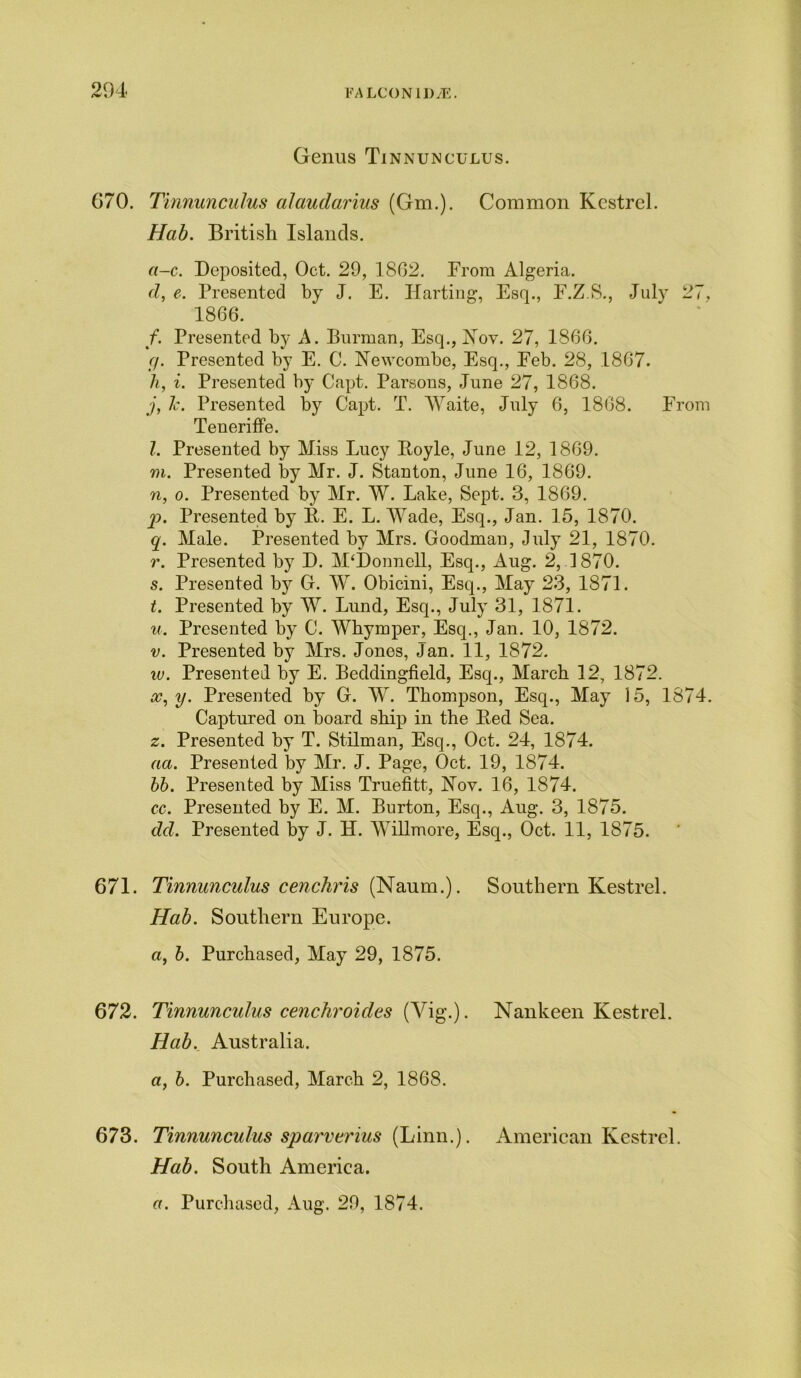 Genus Tinnunculus. G70. Tinnunculus alaudarius (Gm.). Common Kestrel. Hab. British Islands. a-c. Deposited, Oct. 29, 1802. From Algeria. d, e. Presented by J. E. Harting, Esq., F.Z.S., July 27, 1866. /. Presented by A. Burman, Esq., Kov. 27, 1866. (}. Presented by E. C. Newcombe, Esq., Feb. 28, 1867. h, i. Presented by Capt. Parsons, June 27, 1868. j, Jc. Presented by Capt. T. AYaite, July 6, 1868. From Teneriffe. l. Presented by Miss Lucy Boyle, June 12, 1869. m. Presented by Mr. J. Stanton, June 16, 1869. n. o. Presented by Mr. AY. Lake, Sept. 3, 1869. p. Presented by E. E. L. AYade, Esq., Jan. 15, 1870. q. Male. Presented by Mrs. Goodman, July 21, 1870. r. Presented by D. McDonnell, Esq., Aug. 2, 1870. s. Presented bj^ G. AY. Obicini, Esq., May 23, 1871. t. Presented by AY. Lund, Esq., July 31, 1871. u. Presented by C. Whymper, Esq., Jan. 10, 1872. v. Presented by Airs. Jones, Jan. 11, 1872. w. Presented by E. Eeddingfield, Esq., Alarch 12, 1872. cc, y. Presented by G. AY. Thompson, Esq., Alay 15, 1874. Captured on board ship in the Eed Sea. z. Presented by T. Stilman, Esq., Oct. 24, 1874. aa. Presented by Air. J. Page, Oct. 19, 1874. 66. Presented by Aliss Truefitt, ISTov. 16, 1874. cc. Presented by E. Al. Burton, Esq., Aug. 3, 1875. dd. Presented by J. H. AYillmore, Esq., Oct. 11, 1875. 671. Tinnunculus cenchris (Naum.). Southern Kestrel. Hab. Southern Europe. «, 6. Purchased, May 29, 1875. 672. Tinnunculus cenchroides (Vig.). Nankeen Kestrel. Hab. Australia. a, 6. Purchased, Alarch 2, 1868. 673. Tinnunculus sparverius (Linn.). American Kestrel. Hab. South America.