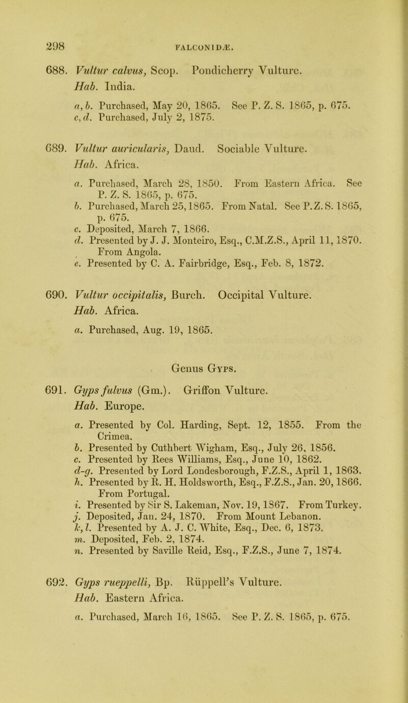 688. Vultur calvus, Scop. Pondicherry Vulture. Hab. India. a, b. Purchased, May 20, 1865. See P. Z. S. 1865, p. 675. c,d. Purchased, July 2, 1875. 689. Vultur auricularis, Daud. Sociable Vulture. Hab. Africa. a. Purchased, March 28, 1850. Prom Eastern Africa. See P. Z. S. 1865, p. 675. b. Purchased, March 25,1865. Prom Natal. See P.Z. S. 1865, p. 675. c. Deposited, March 7, 1866. d. Presented by J. J. Monteiro, Esq., C.M.Z.S., April 11,1870. Prom Angola. e. Presented by C. A. Pairbridge, Esq., Feb. 8, 1872. 690. Vultur occipitalis, Burch. Occipital Vulture. Hab. Africa. a. Purchased, Aug. 19, 1865. Genus Gyps. 691. Gyps fulvus (Gm.). Griffon Vulture. Hab. Europe. a. Presented by Col. Harding, Sept. 12, 1855. From the Crimea. b. Presented by Cuthbert Wigham, Esq., July 26, 1856. c. Presented by Pees Williams, Esq., June 10, 1862. d-g. Presented by Lord Londesborough, F.Z.S., April 1, 1863. li. Presented by P. H. Holdsworth, Esq., P.Z.S., Jan. 20,1866. Prom Portugal. i. Presented bj^ Sir S. Lakeman, Nov. 19,1367. From Turkey. j. Deposited, Jan. 24, 1870. From Mount Lebanon. 1c, l. Presented by A. J. C. White, Esq., Dec. 6, 1873. m. Deposited, Feb. 2, 1874. n. Presented by Saville Peid, Esq., F.Z.S., June 7, 1874. 692. Gyps rueppelli, Bp. RiippelPs Vulture. Hab. Eastern Africa. a. Purchased, March 16, 1865. See P.Z. S. 1865, p. 675.