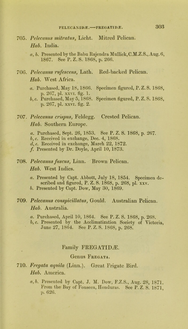 705. Pelecanus mitratus, Licht. Mitred Pelican. Hab. India. a, b. Presented by the Babu Rajendra Mullick, C.M.Z.S., Aug. 6, 1867. See P. Z. S. 1868, p. 266. 706. Pelecanus rufescens, Lath. Red-backed Pelican. Hab. West Africa. a. Purchased, May 18,1866. Specimen figured, P. Z. S. 1868, p. 267, pi. xxvi. fig. 1. b, c. Purchased, May 5,1868. Specimen figured, P. Z. S. 1868, p. 267, pi. xxvi. fig. 2. 707. Pelecanus crispus, Felclegg. Crested Pelican. Hab. Southern Europe. a. Purchased, Sept. 26, 1853. See P. Z. S. 1868, p. 267. b, c. Received in exchange, Dec. 4, 1868. <7, e. Received in exchange, March 22, 1872. /. Presented by Dr. Doyle, April 10,1873. 708. Pelecanus fuscus, Linn. Brown Pelican. Hab. West Indies. a. Presented by Capt. Abbott, July 18, 1854. Specimen de- scribed and figured, P. Z. S. 1868, p. 268, pi. xxv. b. Presented by Capt. Dow, May 30, 1869. 709. Pelecanus conspicillatus, Gould. Australian Pelican. Hab. Australia. a. Purchased, April 10, 1864. See P. Z. S. 1868, p. 268. b, c. Presented by the Acclimatization Society of Victoria, June 27, 1864. See P. Z. S. 1868, p. 268. Family FREGATIDiE. Genus Fregata. 710. Fregata aquila (Linn.). Great Frigate Bird. Hab. America. a,b. Presented by Capt. J. M. Dow, F.Z.S., Aug. 28, 1871. From the Bay of Fonseca, Honduras. See P. Z. S. 1871 p. 626.