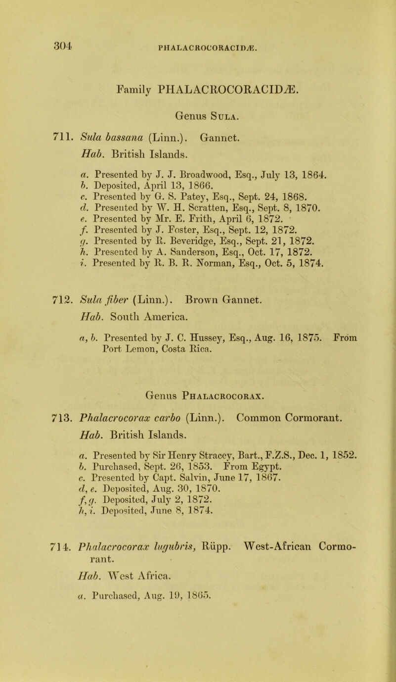 P HAL A C ROC OR AC IT) At. Family PHALACllOCORACID^E. Genus Sula. 711. Sula bassana (Linn.). Gannet. Hab. British Islands. a. Presented by J. J. Broadwood, Esq., July 13, 1864. b. Deposited, April 13, 1866. c. Presented by G. S. Patey, Esq., Sept. 24, 1868. d. Presented by W. H. Scratten, Esq., Sept. 8, 1870. e. Presented by Mr. E. Frith, April 6, 1872. /. Presented by J. Foster, Esq., Sept. 12, 1872. g. Presented by E. Beveridge, Esq., Sept. 21, 1872. h. Presented by A. Sanderson, Esq., Oct. 17, 1872. Presented by E. B. E. Norman, Esq., Oct. 5, 1874. 712. Sula fiber (Linn.). Brown Gannet. Hab. South America. a, b. Presented by J. C. Hussey, Esq., Aug. 16, 1875. From Port Lemon, Costa Eica. Genus Phalacrocorax. 713. Phalacrocorax carbo (Linn.). Common Cormorant. Hab. British Islands. a. Presented by Sir Henry Stracey, Bart., F.Z.S., Dec. 1, 1852. b. Purchased, Sept. 26, 1853. From Egypt. c. Presented by Capt. Salvin, June 17, 1867. d. e. Deposited, Aug. 30, 1870. fig. Deposited, July 2, 1872. h,i. Deposited, June 8, 1874. 714. Phalacrocorax lurjubris, Eiipp. West-African Cormo- rant. Hab. West Africa.