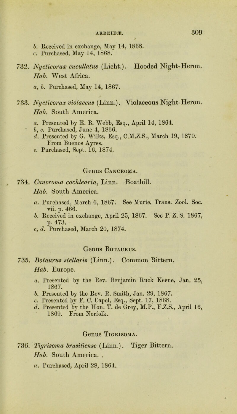 6. Received in exchange, May 14, 1868. c. Purchased, May 14, 1868. 732. Nycticorax cucullatus (Liclit.). Hooded Night-Heron. Hab. West Africa. a, b. Purchased, May 14, 1867. 733. Nycticorax violaceus (Linn.). Violaceous Night-Heron. Hab. South America. a. Presented by E. B. Webb, Esq., April 14, 1864. b, c. Purchased, June 4, 1866. d. Presented by G. Wilks, Esq., C.M.Z.S., March 19, 1870. Erom Buenos Ayres. e. Purchased, Sept. 16, 1874. Genus Cancroma. 734. Cancroma cochlearia, Linn. Boatbill. Hab. South America. a. Purchased, March 6, 1867. See Murie, Trans. Zool. Soc. vii. p. 466. b. Received in exchange, April 25, 1867. See P. Z. S. 1867, p. 473. c. d. Purchased, March 20, 1874. Genus Botaurus. 735. Botaurus stellar is (Linn.). Common Bittern. Hab. Europe. a. Presented by the Rev. Benjamin Ruck Keene, Jan. 25, 1867. b. Presented by the Rev. R. Smith, Jan. 29, 1867. c. Presented by F. C. Capel, Esq., Sept. 17, 1868. d. Presented by the Hon. T. de Grey, M.P., F.Z.S., April 16,r 1869. From Norfolk. Genus Tigrisoma. 736. Tigrisoma brasiliense (Linn.). Tiger Bittern. Hab. South America. .