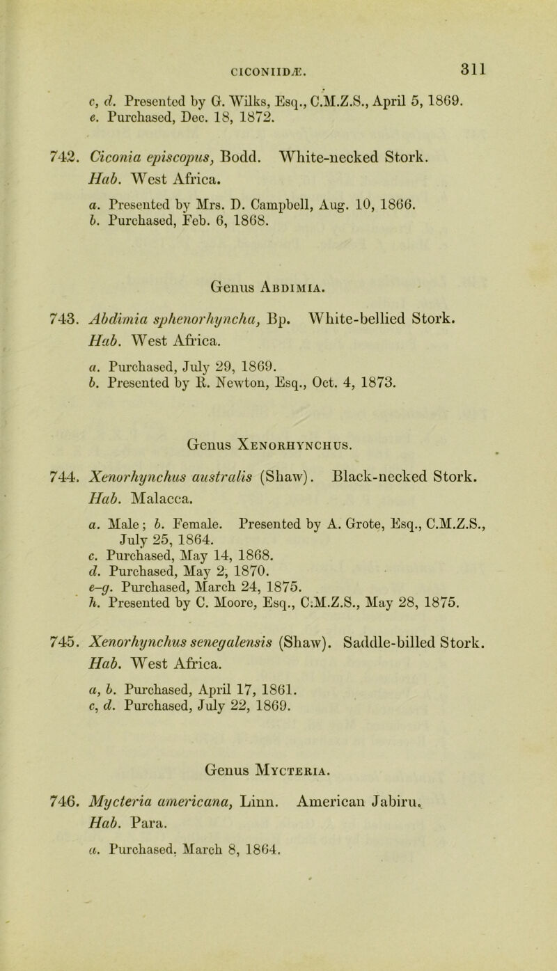 c, d. Presented by G. Wilks, Esq., C.M.Z.S., April 5, 1869. e. Purchased, Dec. 18, 1872. 742. Ciconia episcopus) Bodd. Wliite-necked Stork. Hab. West Africa. a. Presented by Mrs. D. Campbell, Aug. 10, 1866. b. Purchased, Eeb. 6, 1868. Genus Abdimia. 743. Abdimia sphenorhyncha, Bp. White-bellied Stork. Hab. West Africa. a. Purchased, July 29, 1869. b. Presented by R. Newton, Esq., Oct. 4, 1873. Genus Xenorhynchus. 744. Xenorhynchus australis (Shaw). Black-necked Stork. Hab. Malacca. a. Male; b. Eemale. Presented by A. Grote, Esq., C.M.Z.S., July 25, 1864. c. Purchased, May 14, 1868. d. Purchased, May 2, 1870. e-g. Purchased, March 24, 1875. h. Presented by C. Moore, Esq., C.M.Z.S., May 28, 1875. 745. Xenorhynchus senegalensis (Shaw). Saddle-billed Stork. Hab. West Africa. a, b. Purchased, April 17, 1861. c, d. Purchased, July 22, 1869. Genus Mycteria. 746. Mycteria americana, Linn. American Jabiru. Hab. Para.