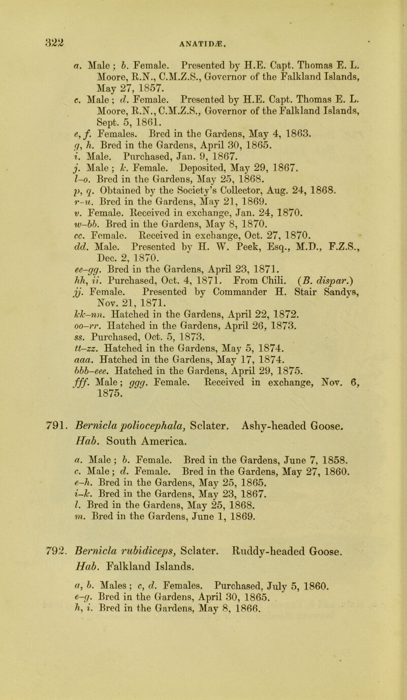 a. Male ; b. Female. Presented by H.E. Capt. Thomas E. L. Moore, R.N., C.M.Z.S., Governor of the Falkland Islands, May 27, 1857. c. Male ; d. Female. Presented by H.E. Capt. Thomas E. L. Moore, R.N., C.M.Z.S., Governor of the Falkland Islands, Sept. 5, 1861. e, f. Females. Bred in the Gardens, May 4, 1863. g, h. Bred in the Gardens, April 30, 1865. i. Male. Purchased, Jan. 9, 1867. j. Male ; k. Female. Deposited, May 29, 1867. l-o. Bred in the Gardens, May 25, 1868. p, q. Obtained by the Society’s Collector, Aug. 24, 1868. r-u. Bred in the Gardens, May 21, 1869. v. Female. Deceived in exchange, Jan. 24, 1870. iv-bb. Bred in the Gardens, May 8, 1870. cc. Female. Deceived in exchange, Oct. 27, 1870. dd. Male. Presented by H. W. Peek, Esq., M.D., F.Z.S., Dec. 2, 1870. ee-gg. Bred in the Gardens, April 23, 1871. hh, ii. Purchased, Oct. 4, 1871. From Chili. (B. dispar.) jj. Female. Presented by Commander H. Stair Sandys, Nov. 21, 1871. kk-nn. Hatched in the Gardens, April 22, 1872. oo-rr. Hatched in the Gardens, April 26, 1873. ss. Purchased, Oct. 5, 1873. tt-zz. Hatched in the Gardens, May 5, 1874. aaa. Hatched in the Gardens, May 17, 1874. bbb-eee. Hatched in the Gardens, April 29, 1875. iff. Male; ggg. Female. Deceived in exchange, Nov. 6, 1875. 791. Bernicla poliocephala, Sclater. Ashy-headed Goose. Hab. South America. a. Male ; b. Female. Bred in the Gardens, June 7, 1858. c. Male; d. Female. Bred in the Gardens, May 27, 1860. e-h. Bred in the Gardens, May 25, 1865. i-k. Bred in the Gardens, May 23, 1867. l. Bred in the Gardens, May 25, 1868. m. Bred in the Gardens, June 1, 1869. 792. Bernicla rubidiceps, Sclater. Ruddy-headed Goose. Hab. Falkland Islands. a, b. Males ; c, d. Females. Purchased, July 5, 1860. e-g. Bred in the Gardens, April 30, 1865. h, i. Bred in the Gardens, May 8, 1866.