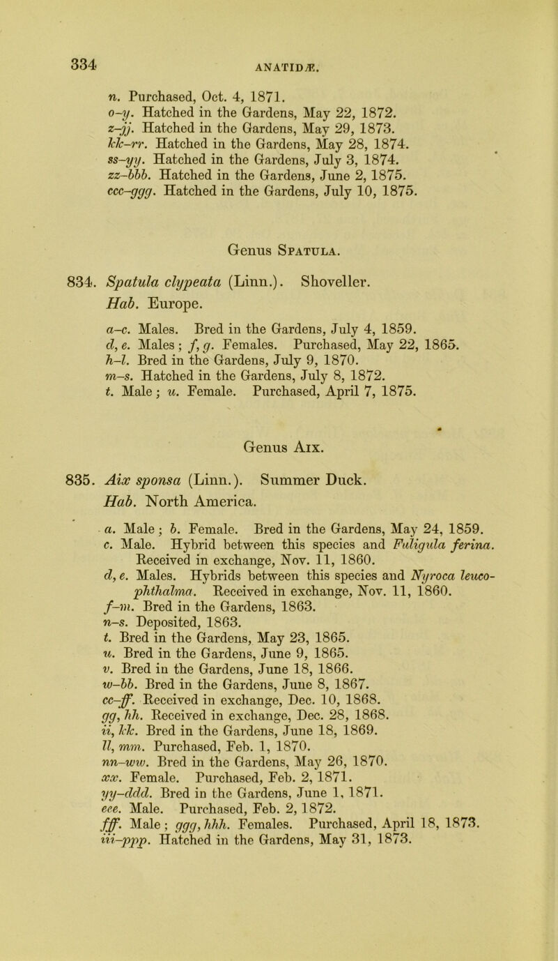 n. Purchased, Oct. 4, 1871. o-y. Hatched in the Gardens, May 22, 1872. z-jj. Hatched in the Gardens, May 29, 1873. klc-rr. Hatched in the Gardens, May 28, 1874. ss-yy. Hatched in the Gardens, July 3, 1874. zz-bbb. Hatched in the Gardens, June 2, 1875. ccc-ggg. Hatched in the Gardens, July 10, 1875. Genus Spatula. 834. Spatula clypeata (Linn.). Shoveller. Hab. Europe. a-c. Males. Bred in the Gardens, July 4, 1859. cl, e. Males ; /, g. Females. Purchased, May 22, 1865. h-l. Bred in the Gardens, July 9, 1870. m-s. Hatched in the Gardens, July 8, 1872. t. Male; u. Female. Purchased, April 7, 1875. Genus Aix. 835. Aix sponsa (Linn.). Summer Duck. Hab. North America. a. Male ; b. Female. Bred in the Gardens, May 24, 1859. c. Male. Hybrid between this species and Fuligula ferina. Received in exchange, Nov. 11, 1860. d, e. Males. Hybrids between this species and Nyroca leuco- plithcdma. Received in exchange, Nov. 11, 1860. f-m. Bred in the Gardens, 1863. n-s. Deposited, 1863. t. Bred in the Gardens, May 23, 1865. u. Bred in the Gardens, June 9, 1865. v. Bred in the Gardens, June 18, 1866. w-bb. Bred in the Gardens, June 8, 1867. cc-ff. Received in exchange, Dec. 10, 1868. gg, hh. Received in exchange, Dec. 28, 1868. ii, klc. Bred in the Gardens, June 18, 1869. II, mm. Purchased, Feb. 1, 1870. nn-wiv. Bred in the Gardens, May 26, 1870. xx. Female. Purchased, Feb. 2, 1871. yy-cldd. Bred in the Gardens, June 1, 1871. ece. Male. Purchased, Feb. 2,1872. fff. Male; ggg,hhh. Females. Purchased, April 18, 1873. iii-ppp. Hatched in the Gardens, May 31, 1873.