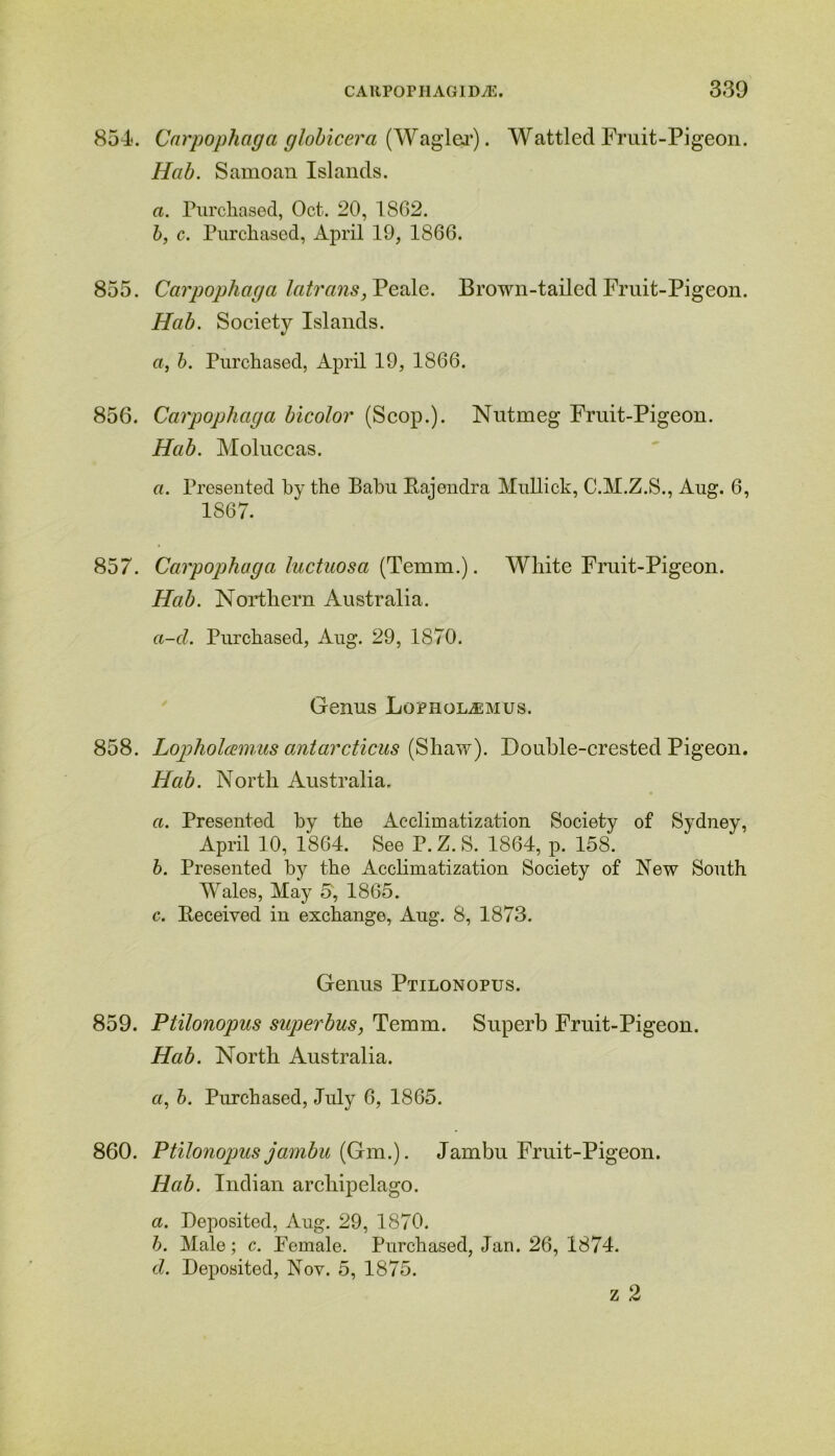 854. Carpophaga globicera (Wagler). Wattled Fruit-Pigeon. Hab. Samoan Islands. a. Purchased, Oct. 20, 1862. b, c. Purchased, April 19, 1866. 855. Carpophaga latrans, Peale. Brown-tailed Fruit-Pigeon. Hab. Society Islands. a, b. Purchased, April 19, 1866. 856. Carpophaga bicolor (Scop.). Nutmeg Fruit-Pigeon. Hab. Moluccas. a. Presented by the Babu Bajendra Mullick, C.M.Z.S., Aug. 6, 1867. 857. Carpophaga luctuosa (Temm.). White Fruit-Pigeon. Hab. Northern Australia. a-d. Purchased, Aug. 29, 1870. Genus Lopholasmus. 858. Lopholamus antarcticus (Shaw). Double-crested Pigeon. Hab. North Australia. a. Presented by the Acclimatization Society of Sydney, April 10, 1864. See P. Z. S. 1864, p. 158. b. Presented by the Acclimatization Society of New South Wales, May 5, 1865. c. Received in exchange, Aug. 8, 1873. Genus Ptilonopus. 859. Ptilonopus superbus, Temm. Superb Fruit-Pigeon. Hab. North Australia. a, b. Purchased, July 6, 1865. 860. Ptilonopus jambu (Gm.). Jambu Fruit-Pigeon. Hab. Indian archipelago. a. Deposited, Aug. 29, 1870. b. Male; c. Female. Purchased, Jan. 26, 1874. d. Deposited, Nov. 5, 1875. z 2