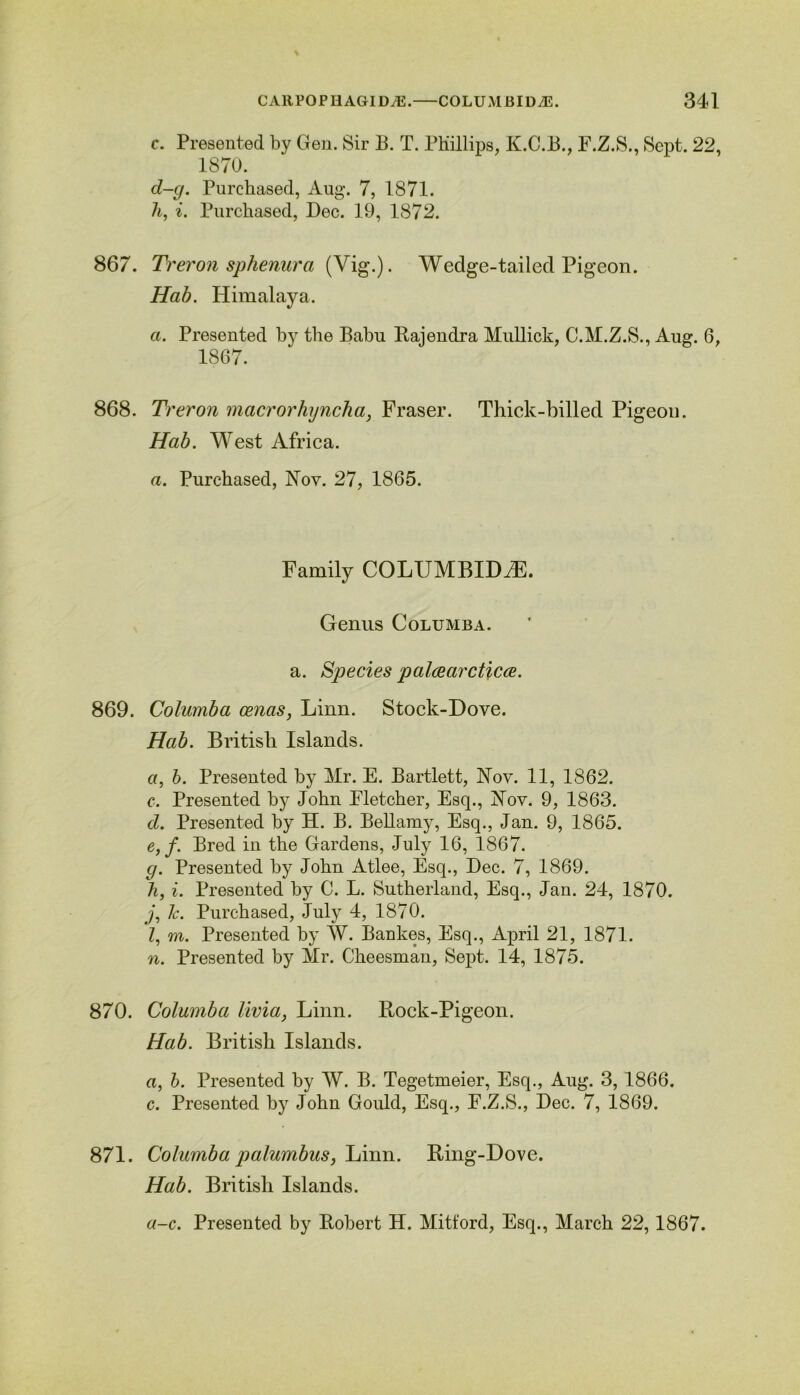 c. Presented by Gen. Sir B. T. Phillips, K.C.B., F.Z.S., Sept. 22, 1870. d-g. Purchased, Aug. 7, 1871. h, i. Purchased, Dec. 19, 1872. 867. Treron sphenura {Vig.). Wedge-tailed Pigeon. Hab. Himalaya. a. Presented by the Babu Rajendra Mullick, C.M.Z.S., Aug. 6, 1867. 868. Treron macrorhyncha, Fraser. Thick-billed Pigeon. Hab. West Africa. a. Purchased, Nov. 27, 1865. Family COLUMBIDiE. Genus Columba. a. Species palcearcticce. 869. Columba Genas, Linn. Stock-Dove. Hab. British Islands. a, b. Presented by Mr. E. Bartlett, Nov. 11, 1862. c. Presented by John Fletcher, Esq., Nov. 9, 1863. d. Presented by H. B. Bellamy, Esq., Jan. 9, 1865. e. f. Bred in the Gardens, July 16, 1867. g. Presented by John Atlee, Esq., Dec. 7, 1869. h, i. Presented by C. L. Sutherland, Esq., Jan. 24, 1870. j, Ic. Purchased, July 4, 1870. Z, m. Presented by W. Bankes, Esq., April 21, 1871. n. Presented by Mr. Cheesman, Sept. 14, 1875. 870. Columba livia, Linn. Rock-Pigeon. Hab. British Islands. a, b. Presented by W. B. Tegetmeier, Esq., Aug. 3, 1866. c. Presented by John Gould, Esq., F.Z.S., Dec. 7, 1869. 871. Columba palumbus, Linn. Ring-Dove. Hab. British Islands. a-c. Presented by Robert H. Mitford, Esq., March 22,1867.