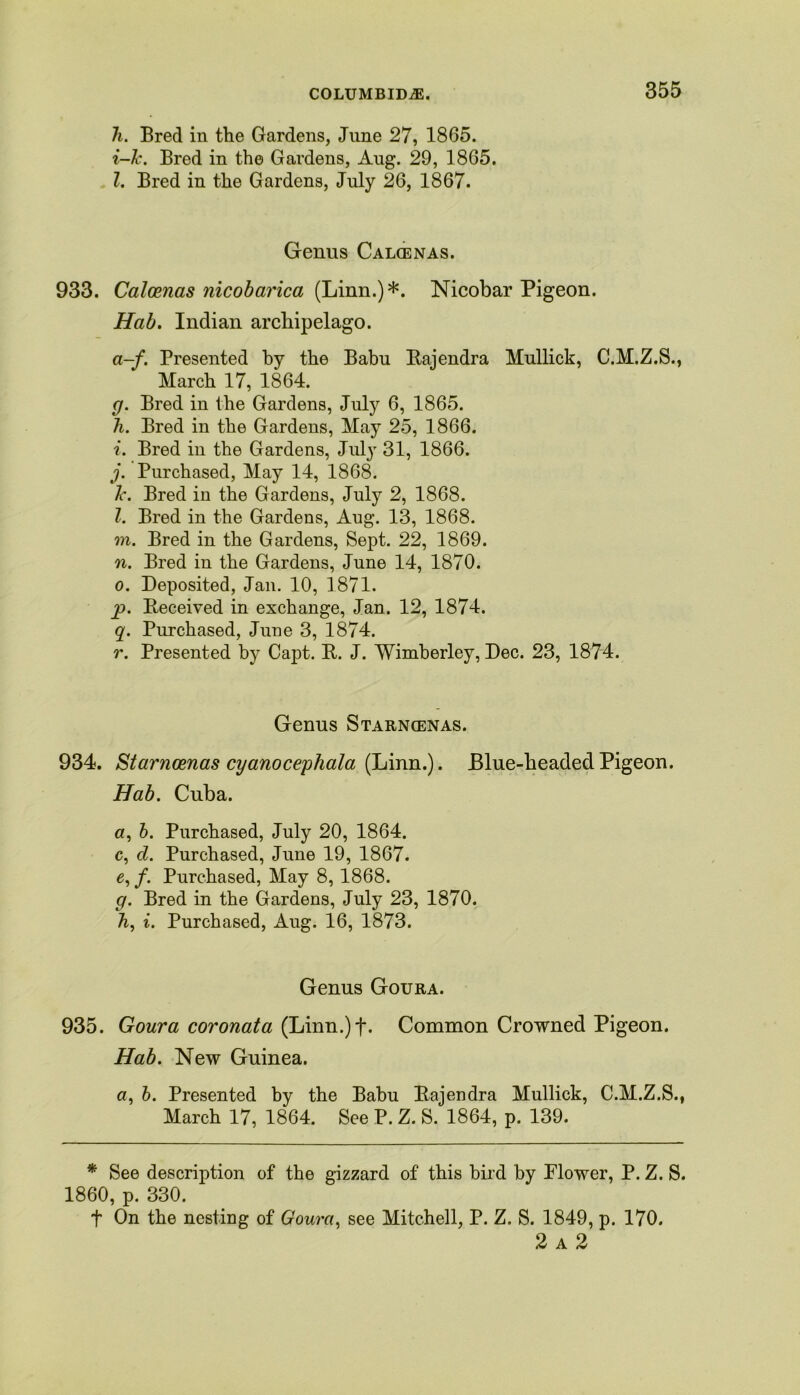 h. Bred in the Gardens, June 27, 1865. i-Jc. Bred in the Gardens, Aug. 29, 1865. 1. Bred in the Gardens, July 26, 1867. Genus Calcenas. 933. Calcenas nicobarica (Linn.)*. Nicobar Pigeon. Hab. Indian archipelago. a-f. Presented by the Babu Bajendra Mullick, C.M.Z.S., March 17, 1864. g. Bred in the Gardens, July 6, 1865. h. Bred in the Gardens, May 25, 1866. i. Bred in the Gardens, July 31, 1866. j. Purchased, May 14, 1868. Jc. Bred in the Gardens, July 2, 1868. l. Bred in the Gardens, Aug. 13, 1868. m. Bred in the Gardens, Sept. 22, 1869. n. Bred in the Gardens, June 14, 1870. o. Deposited, Jan. 10, 1871. p. Received in exchange, Jan. 12, 1874. q. Purchased, June 3, 1874. r. Presented by Capt. R. J. Wimberley, Dec. 23, 1874. Genus Starncenas. 934. Starncenas cyanocephala (Linn.). Blue-headed Pigeon. Hab. Cuba. a, b. Purchased, July 20, 1864. c, d. Purchased, June 19, 1867. e, /. Purchased, May 8, 1868. g. Bred in the Gardens, July 23, 1870. h, i. Purchased, Aug. 16, 1873. Genus Goura. 935. Goura coronata (Linn.)f. Common Crowned Pigeon. Hab. New Guinea. a, b. Presented by the Babu Rajendra Mullick, C.M.Z.S., March 17, 1864. See P. Z. S. 1864, p. 139. * See description of the gizzard of this bird by Plower, P. Z. S. 1860, p. 330. f On the nesting of Goura, see Mitchell, P. Z. S. 1849, p. 170. 2 a 2