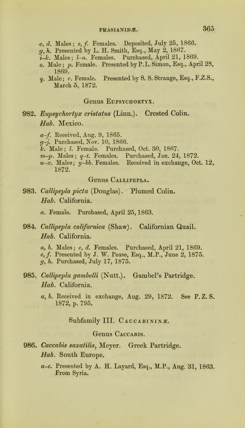 3-65 .c, d. Males ; e, f. Females. Deposited, July 25, 1866. g, h. Presented by L. H. Smith, Esq., May 2, 1867. i-Jc. Males; l-n. Females. Purchased, April 21, 1869. o. Male; p. Female. Presented by P. L. Simon, Esq., April 28, 1869. q. Male; r. Female. Presented by S. S. Strange, Esq., F.Z.S., March 5, 1872. Genus Eupsychortyx. 982. Eupsychortyx cristatus (Linn.). Crested Colin. Hah. Mexico. a-f. Received, Aug. 9, 1865. g-j. Purchased, Nov. 10, 1866. 7c. Male; l. Female. Purchased, Oct. 30, 1867. m-p. Males; q-t. Females. Purchased, Jan. 24, 1872. u-x. Males; y-bb. Females. Received in exchange, Oct. 12, 1872. Genus Callipepla. 983. Callipepla picta (Douglas). Plumed Colin. Hab. California. a. Female. Purchased, April 25,1863. 984. Callipepla californica (Shaw). Californian Quail. Hab. California. a, b. Males; c, d. Females. Purchased, April 21, 1869. e,f. Presented by J. W. Pease, Esq., M.P., June 2, 1875. <7, h. Purchased, July 17, 1875. 985. Callipepla gambelli (Nutt.). GambePs Partridge. Hab. California. a, b. Received in exchange, Aug. 29, 1872. See P. Z. S. 1872, p. 795. Subfamily III. Caccabinin^:. Genus Caccabis. 986. Caccabis saxatilisj Meyer. Greek Partridge. Hab. South Europe. a-c. Presented by A. H. Layard, Esq., M.P., Aug. 31, 1863. From Syria.