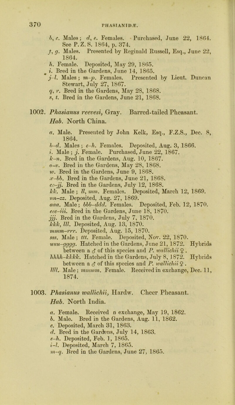 l>,c. Males; d, e. Females. Purchased, June 22, 1864. See P.Z. S. 1864, p. 374. t, g. Males. Presented by Reginald Russell, Esq., Juno 22, 1864. h. Female. Deposited, May 29, 1865. i. Bred in the Gardens, June 14, 1865. j-l. Males ; m-p. Females. Presented by Lieut. Duncan Stewart, July 27, 1867. q, r. Bred in the Gardens, May 28, 1868. s, t. Bred in the Gardens, June 21, 1868. 1002. Phasianus reevesi, Gray. Barred-tailed Pheasant. Hab. North China. a. Male. Presented by John Kelk, Esq., F.Z.S., Dec. 8, 1864. h-d. Males ; e-h. Females. Deposited, Aug. 3, 1S66. i. Male ; j. Female. Purchased, June 22, 1867. k-n. Bred in the Gardens, Aug. 10, 1867. 0- v. Bred in the Gardens, May 28, 1868. iv. Bred in the Gardens, June 9, 1868. :v-bb. Bred in the Gardens, June 21, 1868. cc-jj. Bred in the Gardens, July 12, 1868. кк. Male ; U, mm. Females. Deposited, March 12, 1869. nn-zz. Deposited, Aug. 27, 1869. ааа. Male; bbb-ddd. Females. Deposited, Feb. 12, 1870. eee-iii. Bred in the Gardens, June 18, 1870. jjj. Bred in the Gardens, July 7, 1870. kick, III. Deposited, Aug. 13, 1870. m,mm-rrr. Deposited, Aug. 15, 1870. .9,9.9. Male ; ttt. Female. Deposited, Nov. 22, 1870. uuu-gggg. Hatched in the Gardens, June 21, 1872. Hybrids between a 8 of this species and P. wallichii $ . IdiJih-kkkk. Hatched in the Gardens, July 8, 1872. Hybrids between a of this species and P. wallichii 2 • llll. Male ; mmmm. Female. Received in exchange, Dec. 11, 1874. 1003. Phasianus wallichii, Hardw. Cheer Pheasant. Hab. North India. a. Female. Received n exchange, May 19, 1862. b. Male. Bred in the Gardens, Aug. 11, 1862. c. Deposited, March 31, 1863. d. Bred in the Gardens, July 14, 1863. e-h. Deposited, Fob. 1, 1865. 1- l. Deposited, March 7, 1865. m-q. Bred in the Gardens, June 27, 1865.