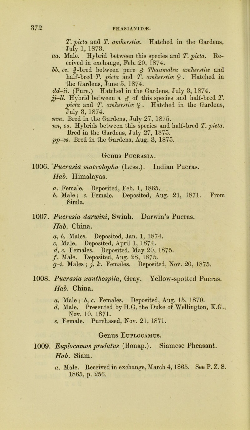 T. picia and T. cimherstice. Hatched in the Gardens, July 1, 1873. aa. Male. Hybrid between this species and T. picta. Re- ceived in exchange, Feb. 20, 1874. 66, cc. |-bred between pure $ Thaumalea cimherstice and half-bred T. picta and T. amherstice $ . Hatched in the Gardens, June 5, 1874. cld-ii. (Pure.) Hatched in the Gardens, July 3, 1874. jj-ll. Hybrid between a of this species and half-bred T. picta and T. amherstice § • Hatched in the Gardens, July 3, 1874. mm. Bred in the Gardens, July 27, 1875. nn, oo. Hybrids between this species and half-bred T. picta. Bred in the Gardens, July 27, 1875. pp-ss. Bred in the Gardens, Aug. 3, 1875. Genus Pucrasia. 1006. Pucrasia macroloplia (Less.). Indian Pucras. Hah. Himalayas. а. Female. Deposited, Feb. 1, 1865. б. Male; c. Female. Deposited, Aug. 21, 1871. From Simla. 1007. Pucrasia darwini, Swinh. Darwin’s Pucras. Hab. China. a, 6. Males. Deposited, Jan. 1, 1874. c. Male. Deposited, April 1, 1874. d, e. Females. Deposited, May 20, 1875. f. Male. Deposited, Aug. 28, 1875. g—i. Males; j, lc. Females. Deposited, Nov. 20, 1875. 1008. Pucrasia ocanthospila, Gray. Yellow-spotted Pucras. Hab. China. a. Male ; 6, c. Females. Deposited, Aug. 15, 1870. d. Male. Presented by H.G. the Duke of Wellington, K.G.. Nov. 10, 1871. e. Female. Purchased, Nov. 21,1871. Genus Euplocamus. 1009. Euplocamus prcelatus (Bonap.). Siamese Pheasant. Hab. Siam. «. Male. Received in exchange, March 4,1865. See P. Z. S. 1865, p. 256.