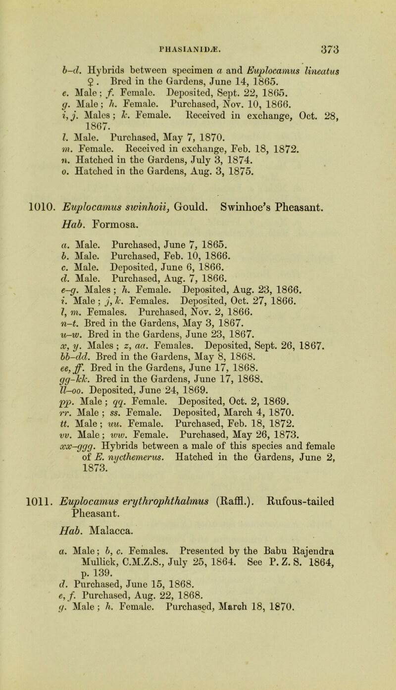 PHASIAN1DJE. 3/3 b-d. Hybrids between specimen a and Euplocamus lineatus 5 . Bred in the Gardens, June 14, 1865. e. Male; /. Female. Deposited, Sept. 22, 1865. g. Male; 7i. Female. Purchased, Nov. 10, 1866. i,j. Males; 7c. Female. Received in exchange, Oct. 28, 1867. l. Male. Purchased, May 7, 1870. m. Female. Received in exchange, Feb. 18, 1872. n. Hatched in the Gardens, July 3, 1874. o. Hatched in the Gardens, Aug. 3, 1875. 1010. Euplocamus swinhoii, Gould. Swinhoe’s Pheasant. Hab. Formosa. a. Male. Purchased, June 7, 1865. b. Male. Purchased, Feb. 10, 1866. c. Male. Deposited, June 6, 1866. d. Male. Purchased, Aug. 7, 1866. e-g. Males ; h. Female. Deposited, Aug. 23, 1866. ?'. Male ; j, 7c. Females. Deposited, Oct. 27, 1866. 7, m. Females. Purchased, Nov. 2, 1866. n-t. Bred in the Gardens, May 3, 1867. u-w. Bred in the Gardens, June 23, 1867. x, y. Males ; z, act. Females. Deposited, Sept. 26, 1867. bb-dd. Bred in the Gardens, May 8, 1868. ee, ff. Bred in the Gardens, June 17, 1868. gg-7c7c. Bred in the Gardens, June 17, 1868. Z7-oo. Deposited, June 24, 1869. pp. Male; qq. Female. Deposited, Oct. 2, 1869. rr. Male ; ss. Female. Deposited, March 4, 1870. it. Male; uu. Female. Purchased, Feb. 18, 1872. vv. Male; ww. Female. Purchased, May 26, 1873. xx-ggg. Hybrids between a male of this species and female of E. nyct7iemerus. Hatched in the Gardens, June 2, 1873. 1011. Euplocamus erythrophthalmus (Raffl.). Rufous-tailed Pheasant. Hab. Malacca. a. Male; b, c. Females. Presented by the Babu Rajendra Mullick, C.M.Z.S., July 25, 1864. See P. Z. S. 1864, p. 139. d. Purchased, June 15, 1868. e, f. Purchased, Aug. 22, 1868. g. Male ; h. Female. Purchased, March 18, 1870.