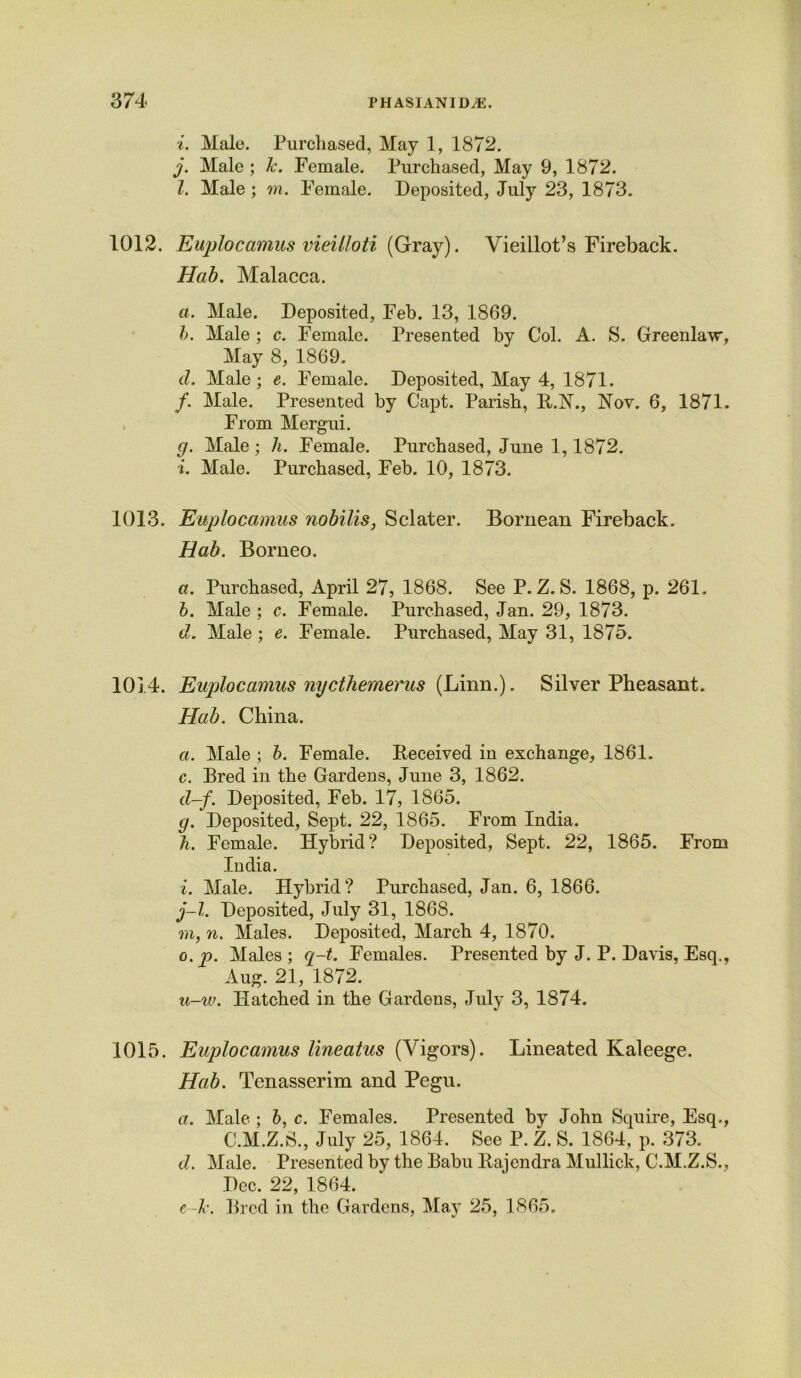 i. Male. Purchased, May 1, 1872. j. Male ; Jc. Female. Purchased, May 9, 1872. Z. Male ; m. Female. Deposited, July 23, 1873. 1012. Euplocamus vieilloti (Gray). Vieillot’s Fireback. Hab. Malacca. a. Male. Deposited, Feb. 13, 1869. b. Male ; c. Female. Presented by Col. A. 8. Greenlaw, May 8, 1869. d. Male ; e. Female. Deposited, May 4, 1871. /. Male. Presented by Capt. Parish, B..1ST., Nov. 6, 1871. From Mergui. g. Male ; h. Female. Purchased, June 1,1872. i. Male. Purchased, Feb. 10, 1873. 1013. Euplocamus nobilis, Sclater. Bornean Fireback. Hab. Borneo. a. Purchased, April 27, 1868. See P. Z. S. 1868, p. 261. b. Male ; c. Female. Purchased, Jan. 29, 1873. d. Male ; e. Female. Purchased, May 31, 1875. 1014. Euplocamus nycthemerus (Linn.). Silver Pheasant. Hab. China. a. Male ; b. Female. Deceived in exchange, 1861. c. Bred in the Gardens, June 3, 1862. d-f. Deposited, Feb. 17, 1865. g. Deposited, Sept. 22, 1865. From India. h. Female. Hybrid? Deposited, Sept. 22, 1865. From India. i. Male. Hybrid? Purchased, Jan. 6, 1866. j-l. Deposited, July 31, 1868. m, n. Males. Deposited, March 4, 1870. o. p. Males ; q-t. Females. Presented by J. P. Davis, Esq., Aug. 21, 1872. u-iv. Hatched in the Gardens, July 3, 1874. 1015. Euplocamus lineatus (Vigors). Lineated Kaleege. Hab. Tenasserim and Pegu. a. Male ; b, c. Females. Presented by John Squire, Esq., C.M.Z.S., July 25, 1864. See P. Z. S. 1864, p. 373. d. Male. Presented by the Babu Bajendra Mullick, C.M.Z.S., Dec. 22, 1864. e-Jc. Bred in the Gardens, May 25, 1865.