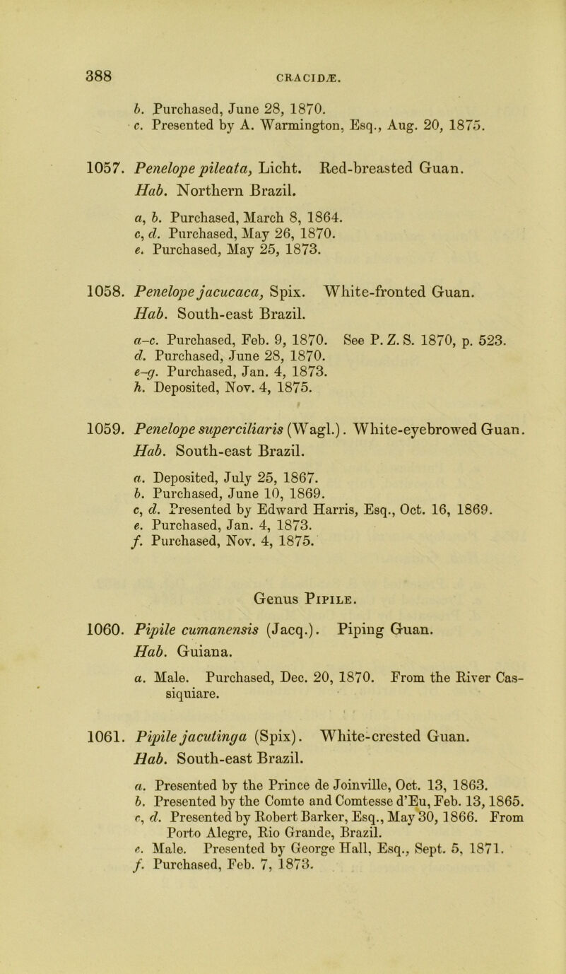 b. Purchased, June 28, 1870. c. Presented by A. Warmington, Esq., Aug. 20, 1875. 1057. Penelope pile at a, Licht. Red-breasted Guan. Hab. Northern Brazil. a, b. Purchased, March 8, 1864. c, cl. Purchased, May 26, 1870. e. Purchased, May 25, 1873. 1058. Penelope jacucaca, Spix. White-fronted Guan. Hab. South-east Brazil. ci-c. Purchased, Feb. 9, 1870. See P. Z. S. 1870, p. 523. cl. Purchased, June 28, 1870. e-g. Purchased, Jan. 4, 1873. h. Deposited, Nov. 4, 1875. 1059. Penelope superciliaris (Wagl.). White-eyebrowed Guan. Hab. South-east Brazil. a. Deposited, July 25, 1867. b. Purchased, June 10, 1869. c. d. Presented by Edward Harris, Esq., Oct. 16, 1869. e. Purchased, Jan. 4, 1873. f. Purchased, Nov. 4, 1875. Genus Pipile. 1060. Pipile cumanensis (Jacq.). Piping Guan. Hab. Guiana. a. Male. Purchased, Dec. 20, 1870. From the River Cas- siquiare. 1061. Pipile jacutinga (Spix). White-crested Guan. Hab. South-east Brazil. a. Presented by the Prince de Joinville, Oct. 13, 1863. b. Presented by the Comte and Comtesse d’Eu, Feb. 13,1865. c. cl. Presented by Robert Barker, Esq., May 30, 1866. From Porto Alegre, Rio Grande, Brazil. e. Male. Presented by George Hall, Esq., Sept. 5, 1871.