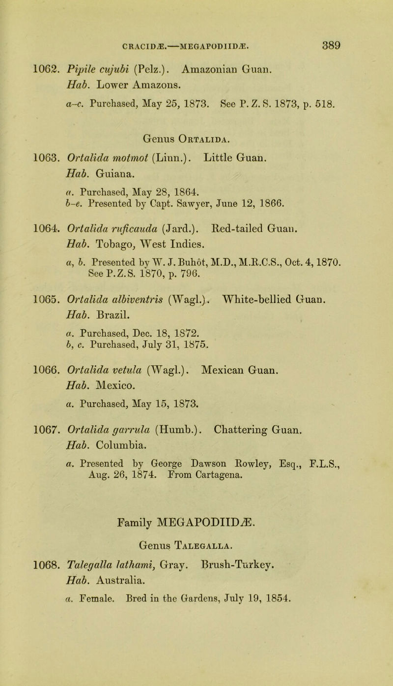 1062. Pipile cujubi (Pelz.). Amazonian Guan. Hab. Lower Amazons. a-c. Purchased, May 25, 1873. See P. Z. S. 1873, p. 518. Genus Ortalida. 1063. Ortalida motmot (Linn.). Little Guan. Hab. Guiana. a. Purchased, May 28, 1864. b-e. Presented by Capt. Sawyer, June 12, 1866. 1064. Ortalida ruficauda (Jard.). Red-tailed Guan. Hab. Tobago, West Indies. a, b. Presented by W. J. Buhot, M.D., M.R.C.S., Oct. 4,1870. See P.Z.S. 1870, p. 796. 1065. Ortalida albiventris (Wagl.). White-bellied Guan. Hab. Brazil. a. Purchased, Dec. 18, 1872. b, c. Purchased, July 31, 1875. 1066. Ortalida v etui a (Wagl.). Mexican Guan. Hab. Mexico. a. Purchased, May 15, 1873. 1067. Ortalida garrula (Humb.). Chattering Guan. Hab. Columbia. a. Presented by George Dawson Rowley, Esq., F.L.S., Aug. 26, 1874. From Cartagena. Family MEGAPODIIDiE. Genus Talegalla. 1068. Talegalla lathami, Gray. Brush-Turkey. Hab. Australia. a. Female. Bred in the Gardens, July 19, 1854.