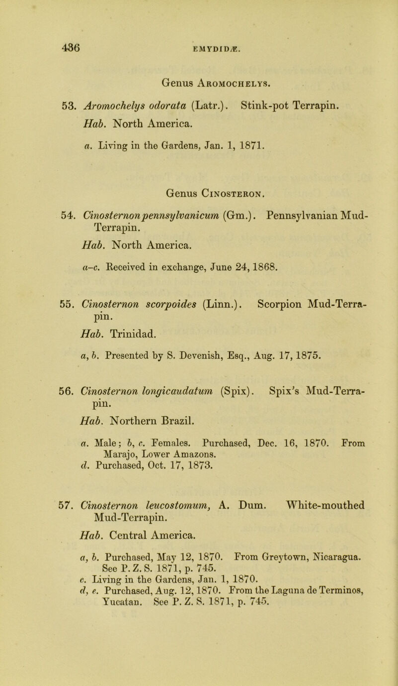 Genus Aromochelys. 53. Aromochelys odorata {Latr.). Stink-pot Terrapin. Hab. North America. a. Living in the Gardens, Jan. 1, 1871. Genus Cinosteron. 54. Cinosternonpennsylvanicum [Gm.). Pennsylvanian Mud- Terrapin. Hab. North America. a-c. Received in exchange, June 24,1868. 55. Cinosternon scorpoides (Linn.). Scorpion Mud-Terra- pin. Hab. Trinidad. a, b. Presented by S. Devenish, Esq., Aug. 17, 1875. 56. Cinosternon longicaudatum (Spix). Spix's Mud-Terra- pin. Hab. Northern Brazil. a. Male; 6, c. Females. Purchased, Dec. 16, 1870. From Marajo, Lower Amazons. d. Purchased, Oct. 17, 1873. 57. Cinosternon leucostomum, A. Dum. White-mouthed Mud-Terrapin. Hab. Central America. a, b. Purchased, May 12, 1870. From Greytown, Nicaragua. See P.Z.S. 1871, p. 745. c. Living in the Gardens, Jan. 1, 1870. d, e. Purchased, Aug. 12,1870. From the Laguna de Terminos, Yucatan. See P. Z. S. 1871, p. 745.