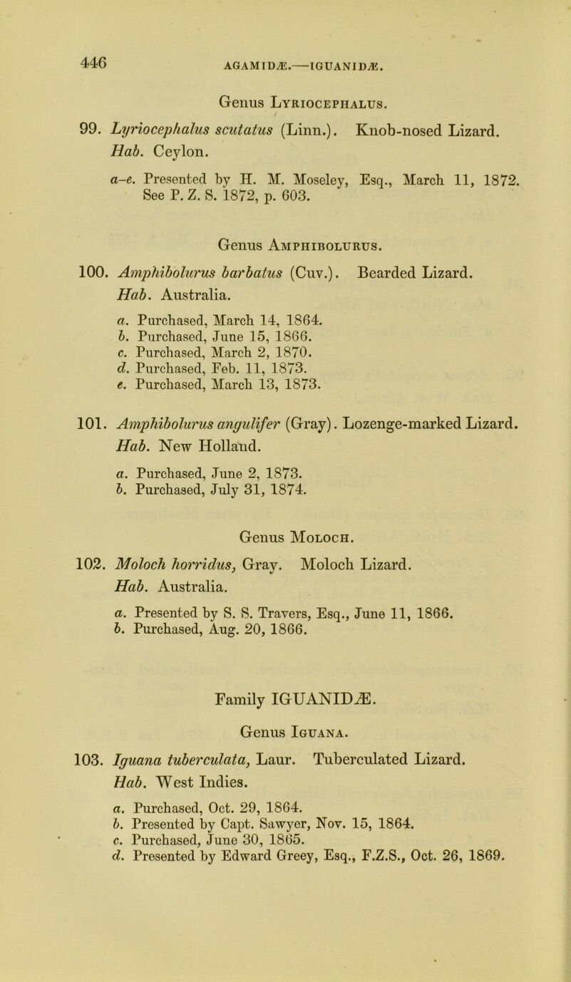 AGAMIDA5. IGUANIDjE. Genus Lyriocephalus. 99. Lyriocephalus scutatus (Linn.). Knob-nosed Lizard. Hab. Ceylon. a-e. Presented by H. M. Moseley, Esq., March 11, 1872. See P. Z. S. 1872, p. 603. Genus Amphibolurus. 100. Amphibolurus barbatus (Cuv.). Bearded Lizard. Hab. Australia. a. Purchased, March 14, 1864. b. Purchased, June 15, 1866. c. Purchased, March 2, 1870. d. Purchased, Feb. 11, 1873. e. Purchased, March 13, 1873. 101. Amphibolurus angulifer (Gray). Lozenge-marked Lizard. Hab. New Holland. a. Purchased, June 2, 1873. b. Purchased, July 31, 1874. Genus Moloch. 102. Moloch horridus, Gray. Moloch Lizard. Hab. Australia. a. Presented by S. S. Travers, Esq., June 11, 1866. b. Purchased, Aug. 20, 1866. Family IGUANIDiE. Genus Iguana. 103. Iguana tuberculata, Laur. Tuberculated Lizard. Hab. West Indies. a. Purchased, Oct. 29, 1864. b. Presented by Capt. Sawyer, Nov. 15, 1864. c. Purchased, June 30, 1865. d. Presented by Edward Greey, Esq., F.Z.S., Oct. 26, 1869.