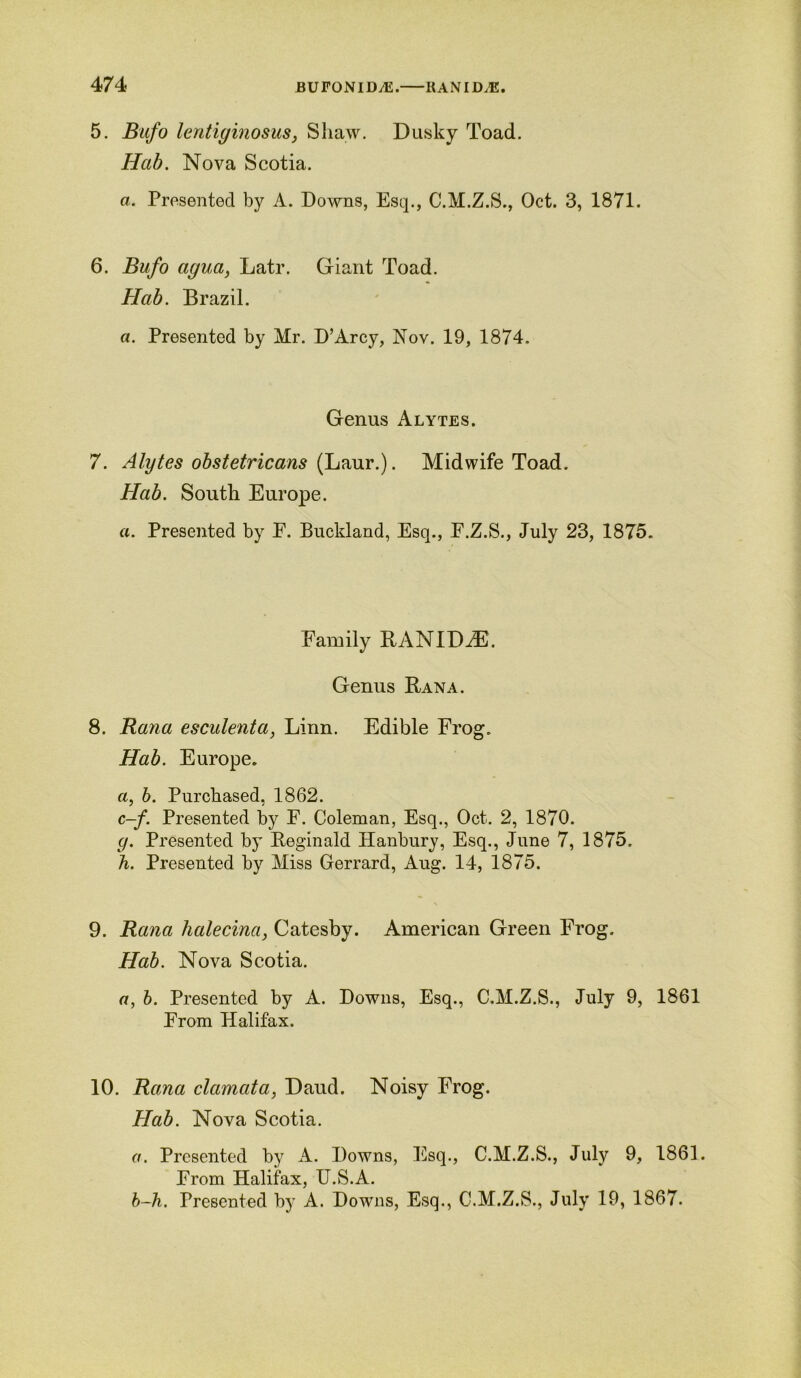 5. Bufo lentiginosus, Shaw. Dusky Toad. Hab. Nova Scotia. a. Presented by A. Downs, Esq., C.M.Z.S., Oct. 3, 1871. 6. Bufo agua, Latr. Giant Toad. Hab. Brazil. a. Presented by Mr. D’Arcy, Nov. 19, 1874. Genus Alytes. 7. Alytes obstetricans (Laur.). Midwife Toad. Hab. South Europe. a. Presented by E. Bnckland, Esq., F.Z.S., July 23, 1875. Family RANIDiE. Genus Ran a. 8. Rana esculent a, Linn. Edible Frog. Hab. Europe. a, b. Purchased, 1862. c-f. Presented by F. Coleman, Esq., Oct. 2, 1870. g. Presented by Reginald Hanbury, Esq., June 7, 1875. h. Presented by Miss Gerrard, Aug. 14, 1875. 9. Rana halecina, Catesby. American Green Frog. Hab. Nova Scotia. a, b. Presented by A. Downs, Esq., C.M.Z.S., July 9, 1861 From Halifax. 10. Rana clamata, Daud. Noisy Frog. Hab. Nova Scotia. a. Presented by A. Downs, Esq., C.M.Z.S., July 9, 1861. From Halifax, U.S.A. b-h. Presented by A. Downs, Esq., C.M.Z.S., July 19, 1867.