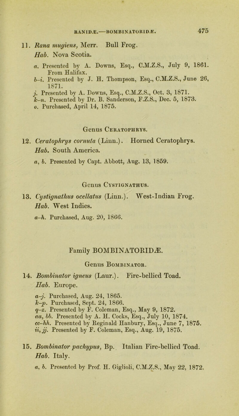 1]. Rana muyiens, Merr. Bull Frog. Hab. Nova Scotia. a. Presented by A. Downs, Esq., C.M.Z.S., July 9, 1861. From Halifax. b-i. Presented by J. H. Thompson, Esq., C.M.Z.S., June 26, 1871. j. Presented by A. Downs, Esq., C.M.Z.S., Oct. 3, 1871. Jc-n. Presented by Dr. B. Sanderson, F.Z.S., Dec. 5, 1873. o. Purchased, April 14, 1875. Genus Ceratophrys. 12. Ceratophrys cornutci (Linn.). Horned Ceratophrys. Hab. South America. «, 6. Presented by Capt. Abbott, Aug. 13, 1859. Genus Cystignathus. 13. Cystignathus ocellatus (Linn.). West-Indian Frog. Hab. West Indies. a-h. Purchased, Aug. 20, 1866. Family BOMBINATOPJDiE. Genus Bombinator. 14. Bombinator igneus (Laur.). Fire-bellied Toad. Hab. Europe. a-j. Purchased, Aug. 24, 1865. Tc-p. Purchased, Sept. 24, 1866. q-z. Presented by F. Coleman, Esq., May 9, 1872. aa, bb. Presented by A. H. Cocks, Esq., July 10, 1874. cc-hh. Presented by Reginald Hanbury, Esq., June 7, 1875. ii,jj. Presented by F. Coleman, Esq., Aug. 19, 1875. 15. Bombinator pachypus, Bp. Italian Fire-bellied Toad. Hab. Italy. a, b. Presented by Prof. H. Giglioli, C.M.Z.S., May 22, 1872.